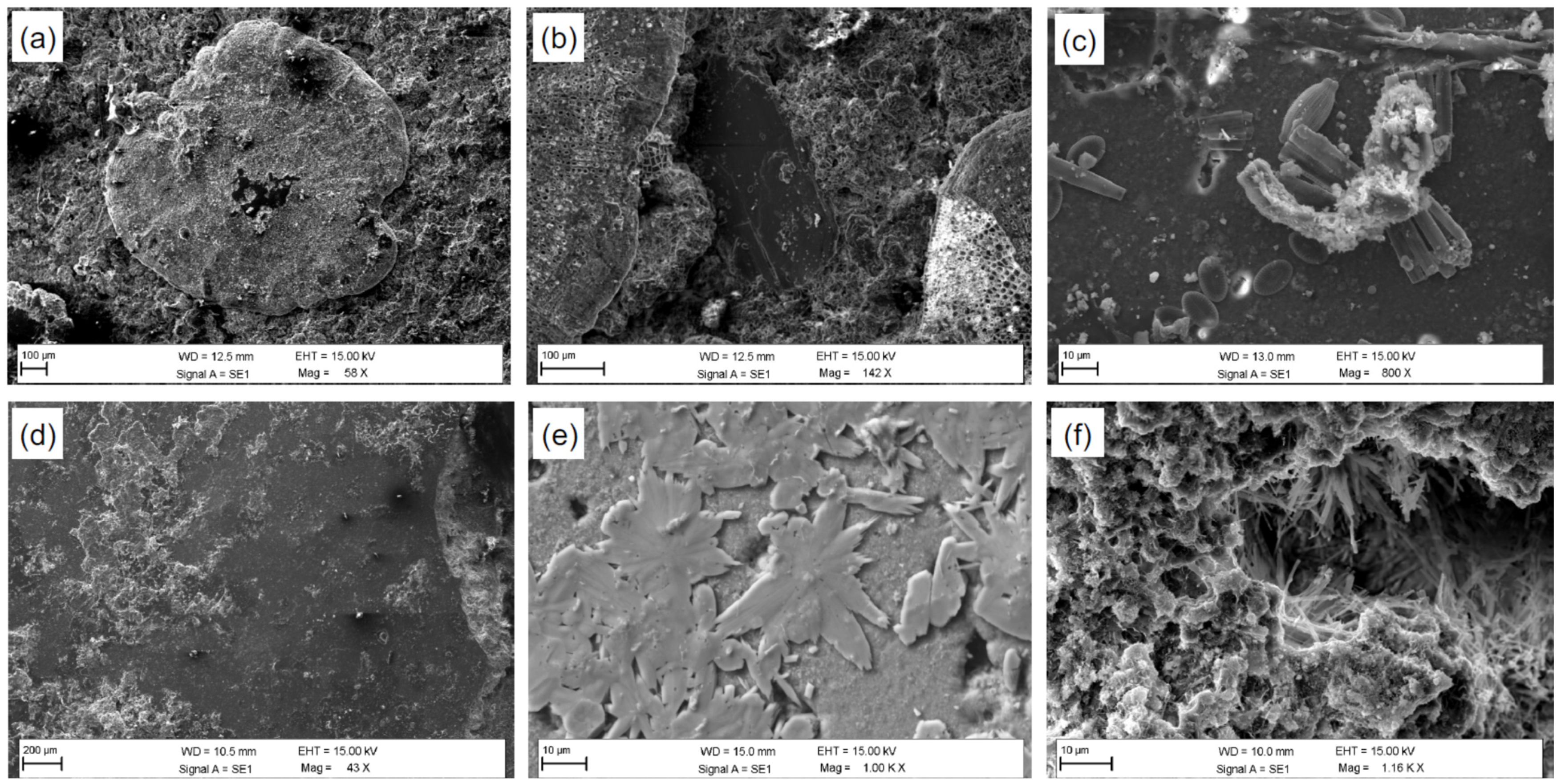 Nanomaterials 12 01498 g004 Nanomaterials 12 01498 g004