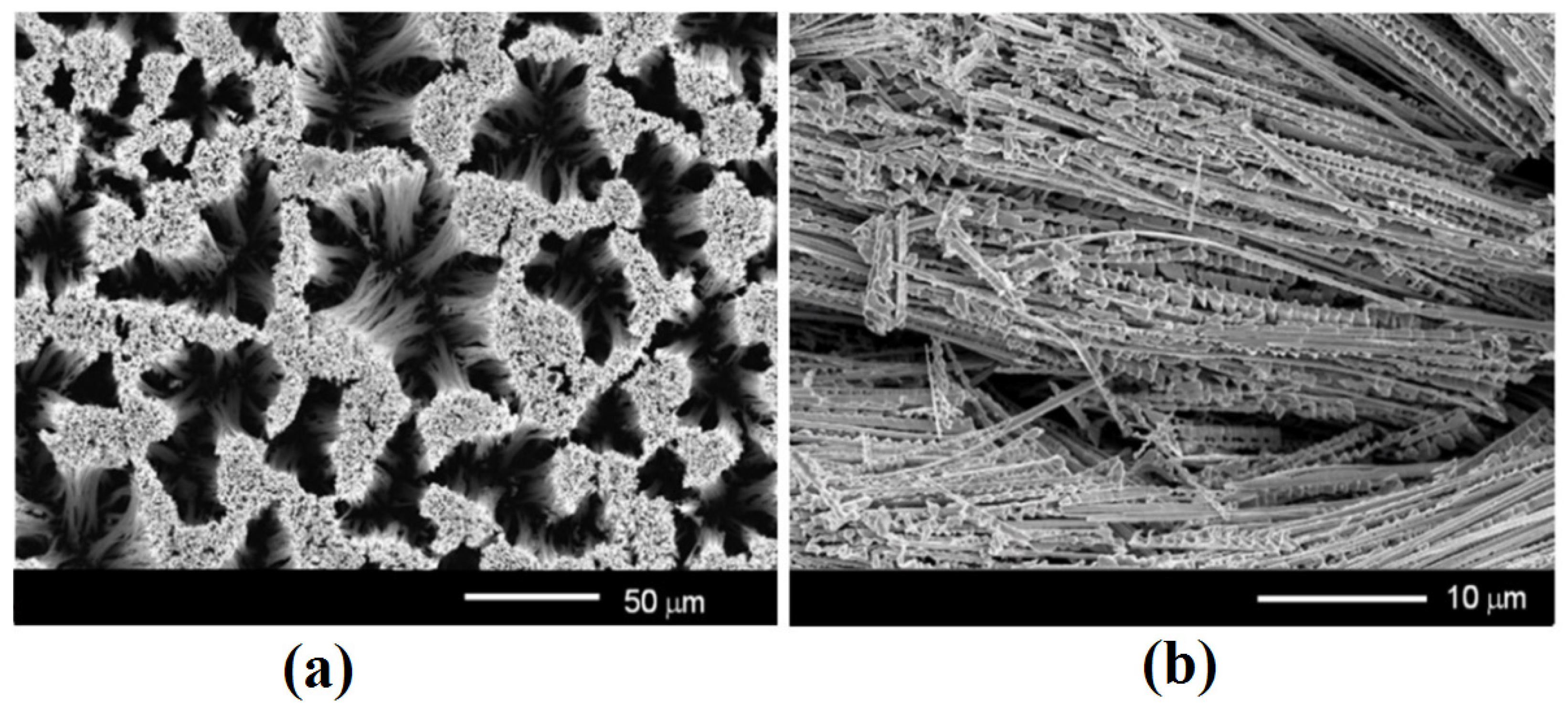 Nanomaterials 12 01506 g001 Nanomaterials 12 01506 g001