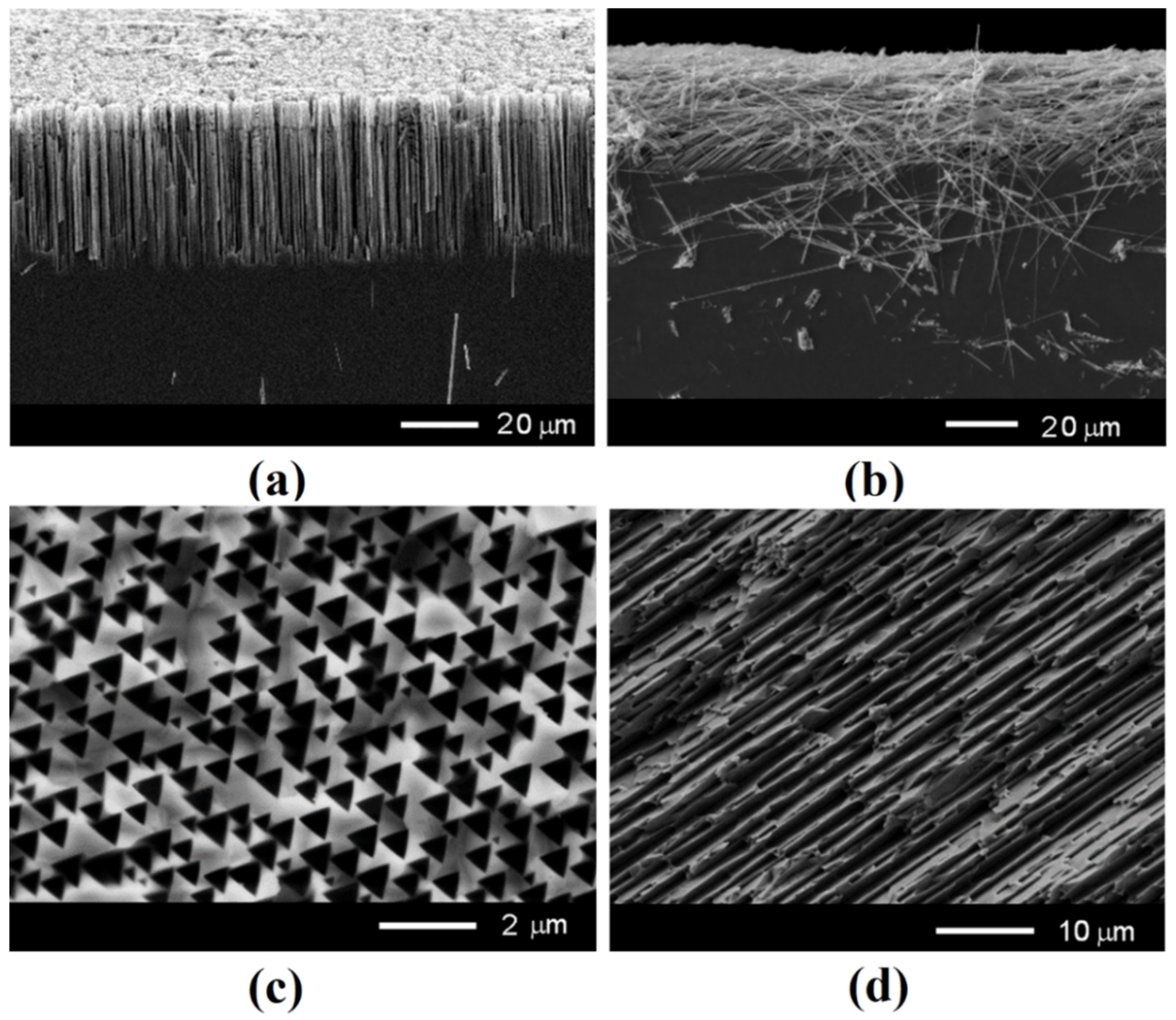 Nanomaterials 12 01506 g002 Nanomaterials 12 01506 g002