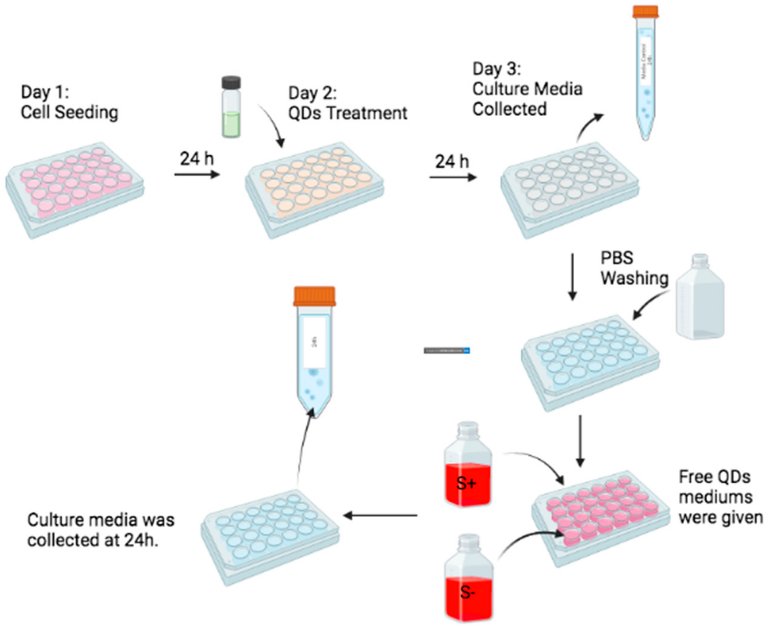 Nanomaterials 12 01517 g011