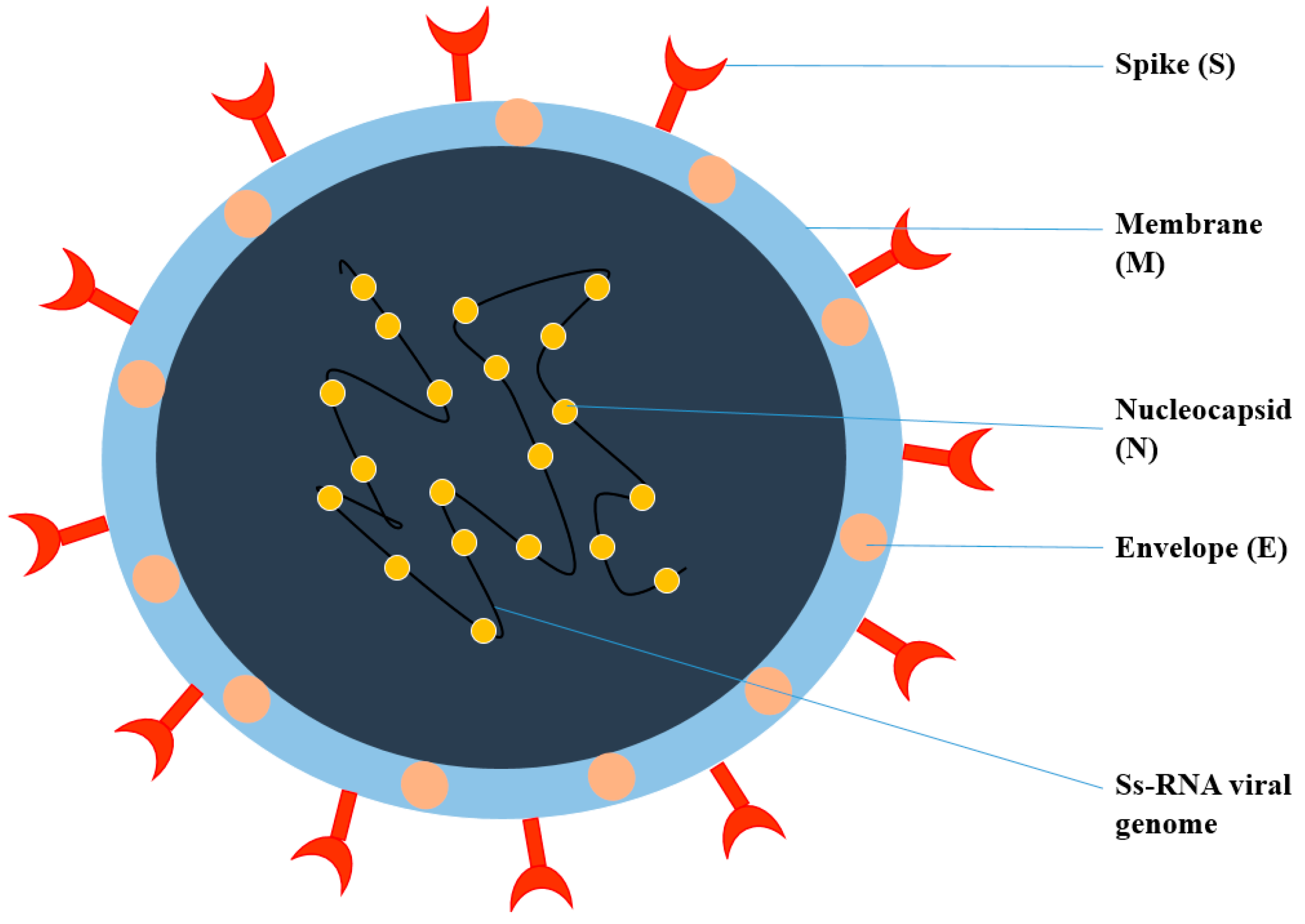 Nanomaterials 12 01530 g001