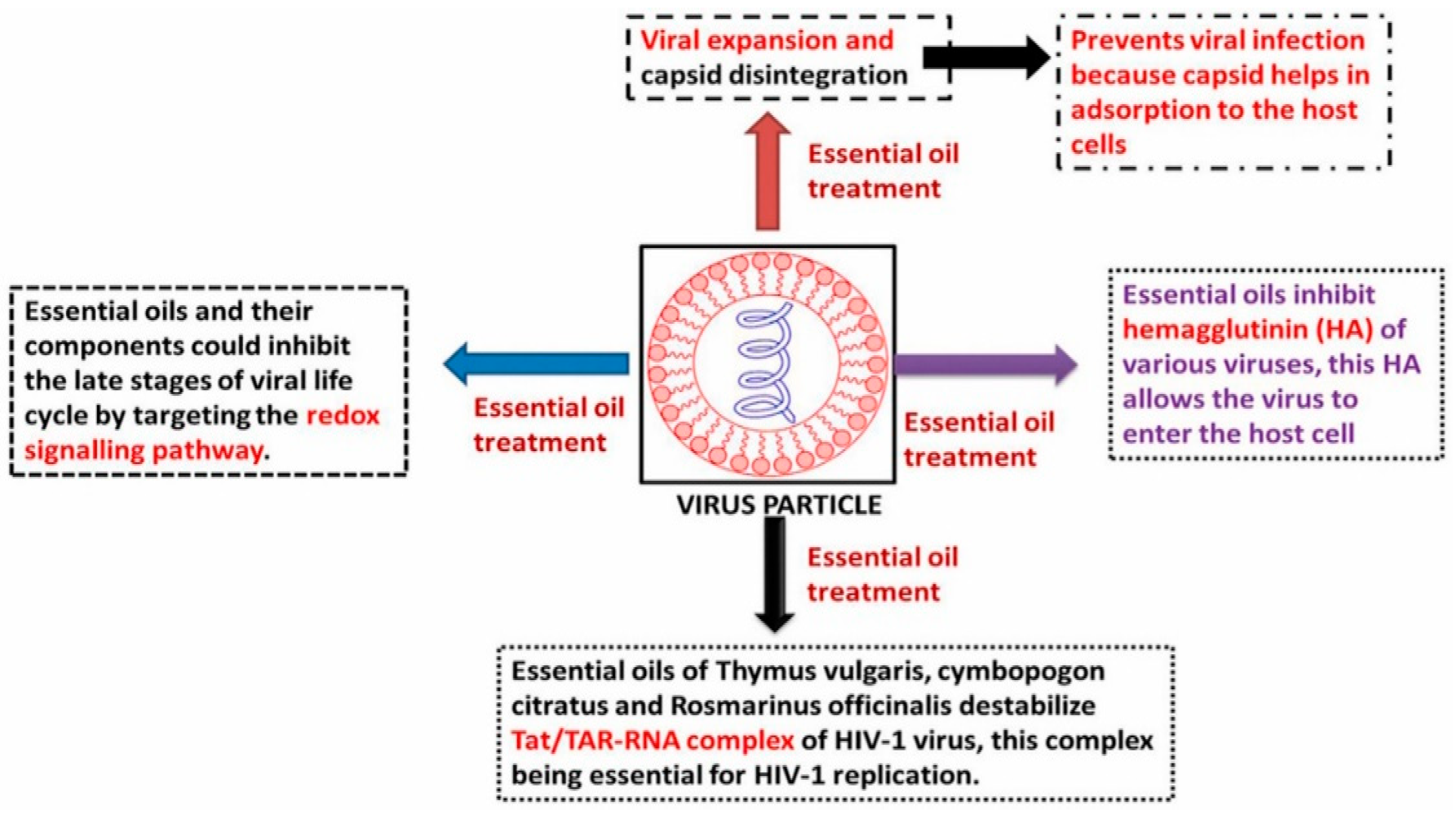 Nanomaterials 12 01530 g003