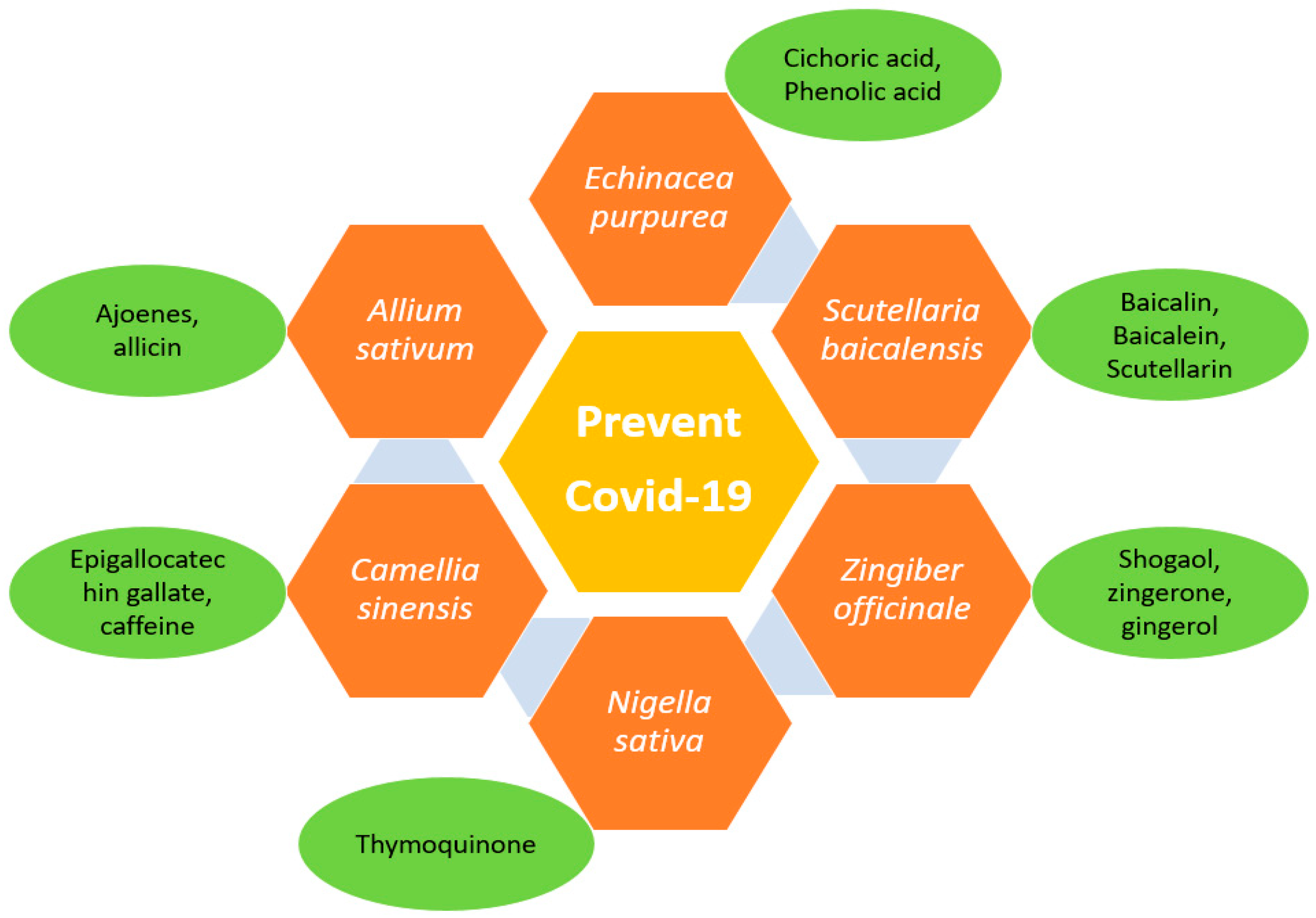 Nanomaterials 12 01530 g005