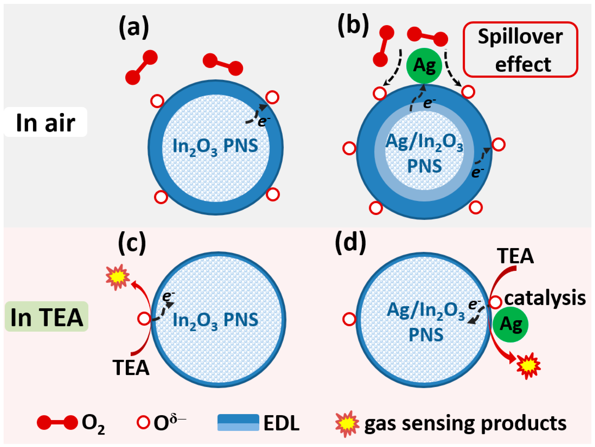Nanomaterials 12 01532 g008