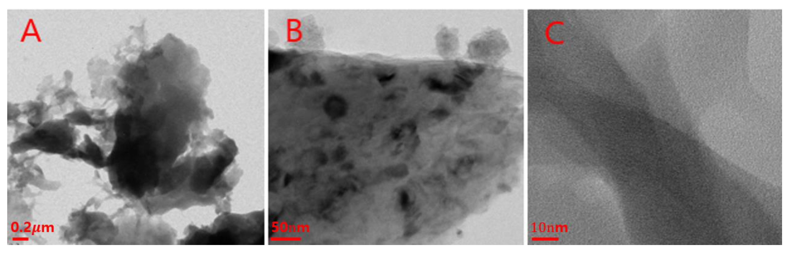 Nanomaterials 12 01537 g002