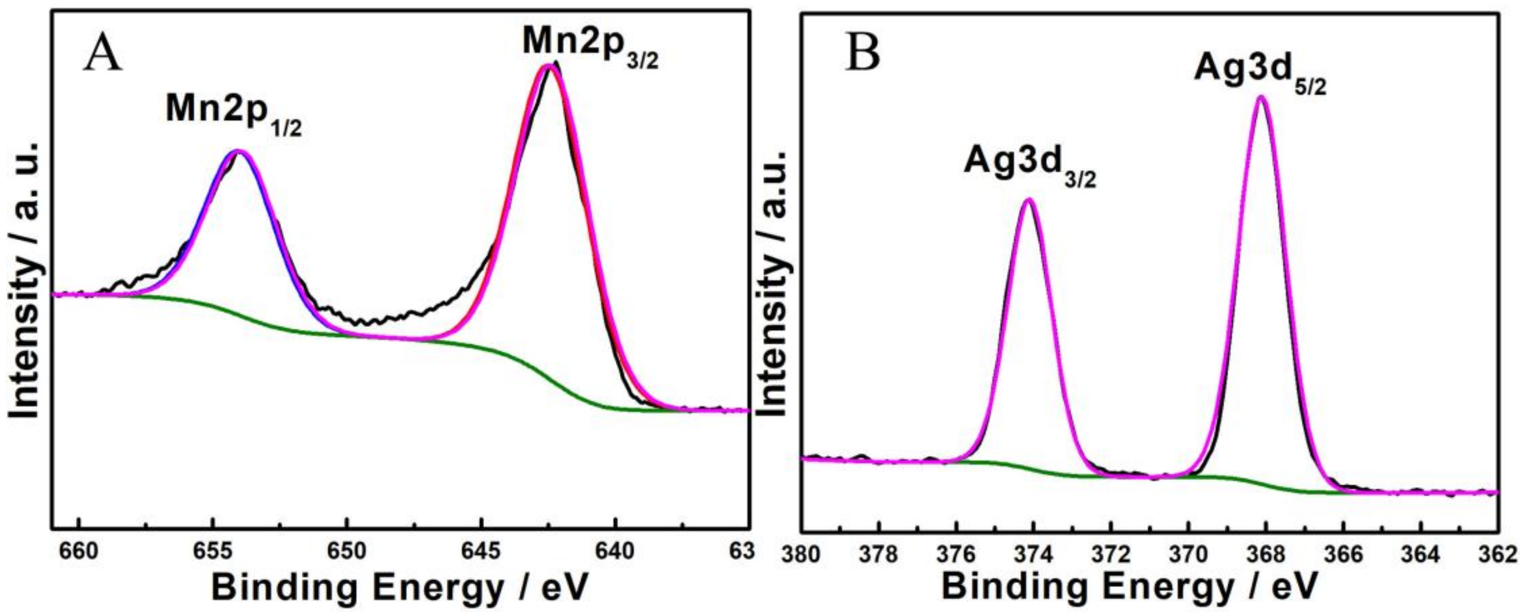 Nanomaterials 12 01538 g003