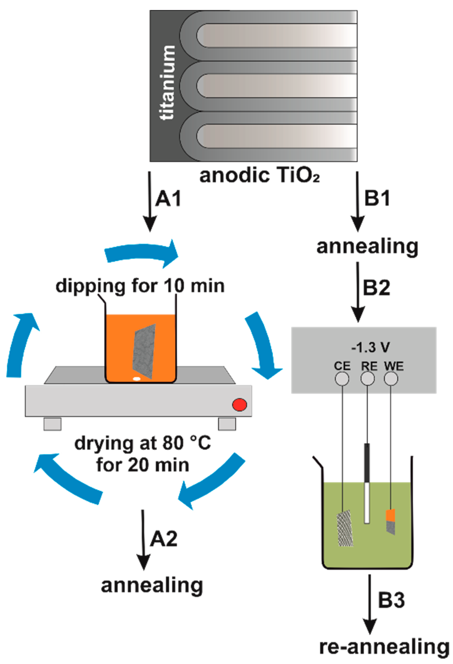 Nanomaterials 12 01546 g001