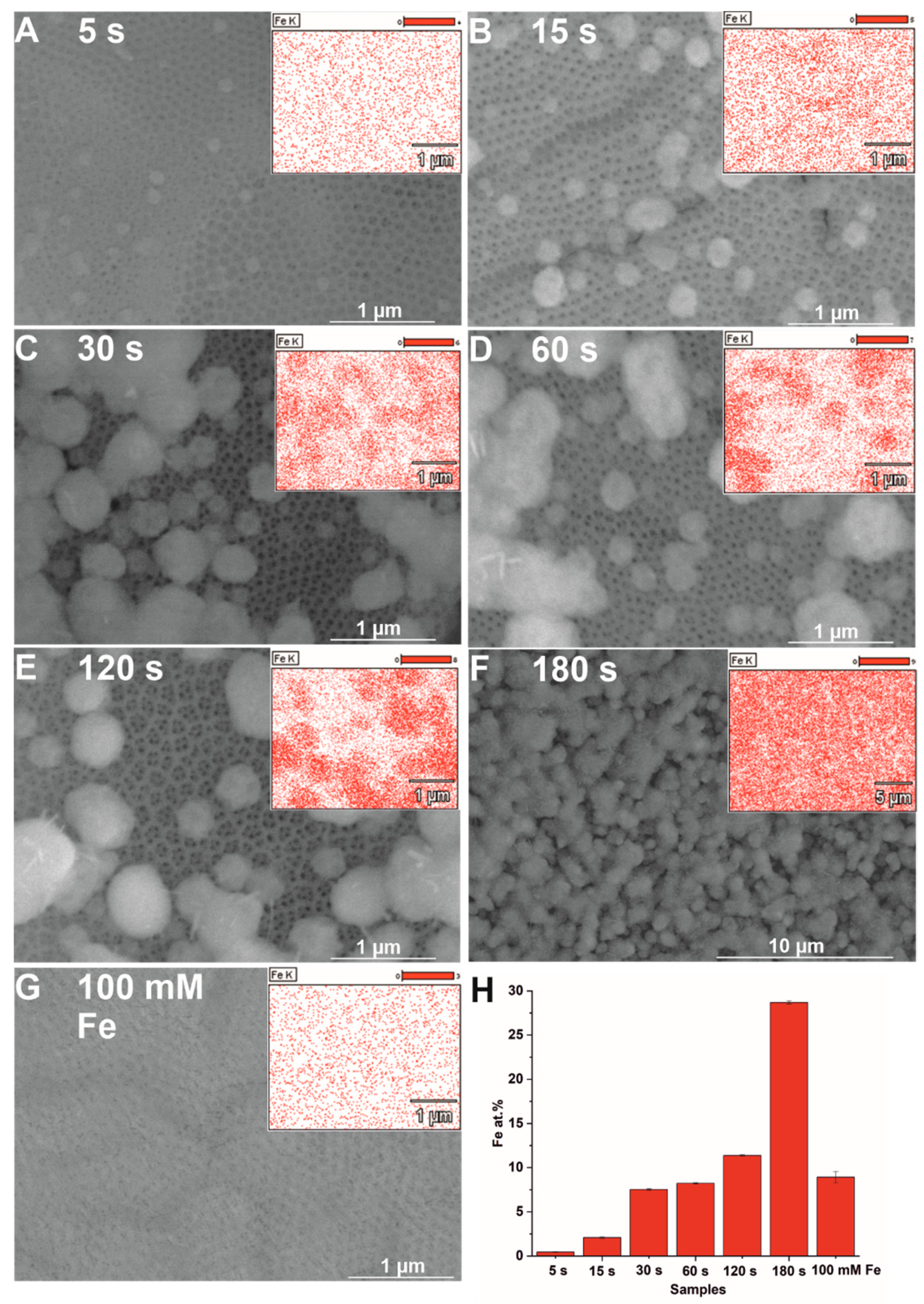 Nanomaterials 12 01546 g002