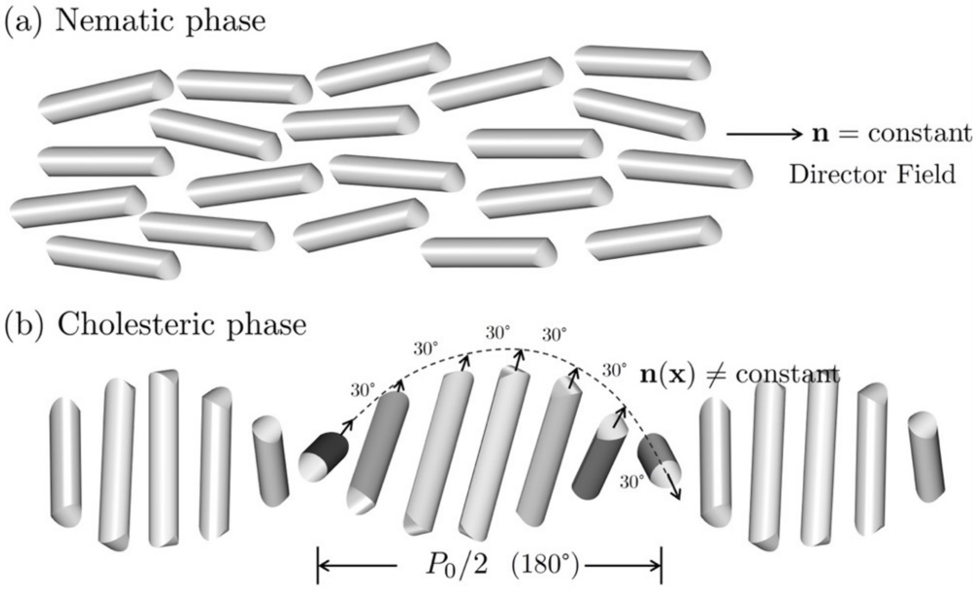 Nanomaterials 12 01555 g001