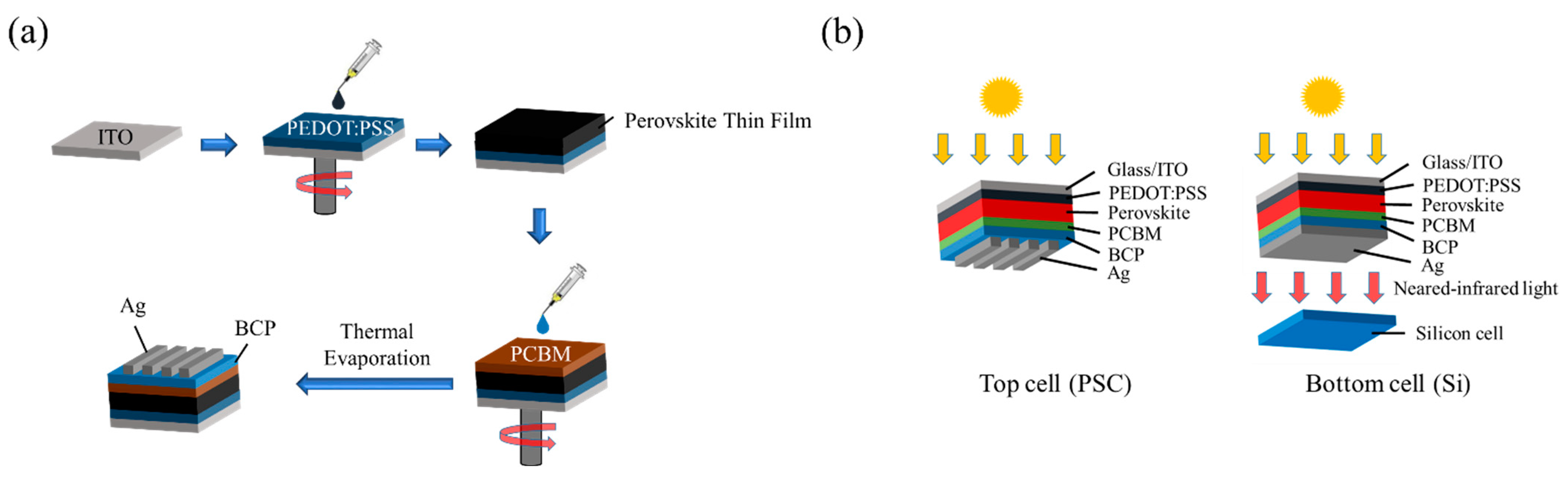 Nanomaterials 12 01569 g002
