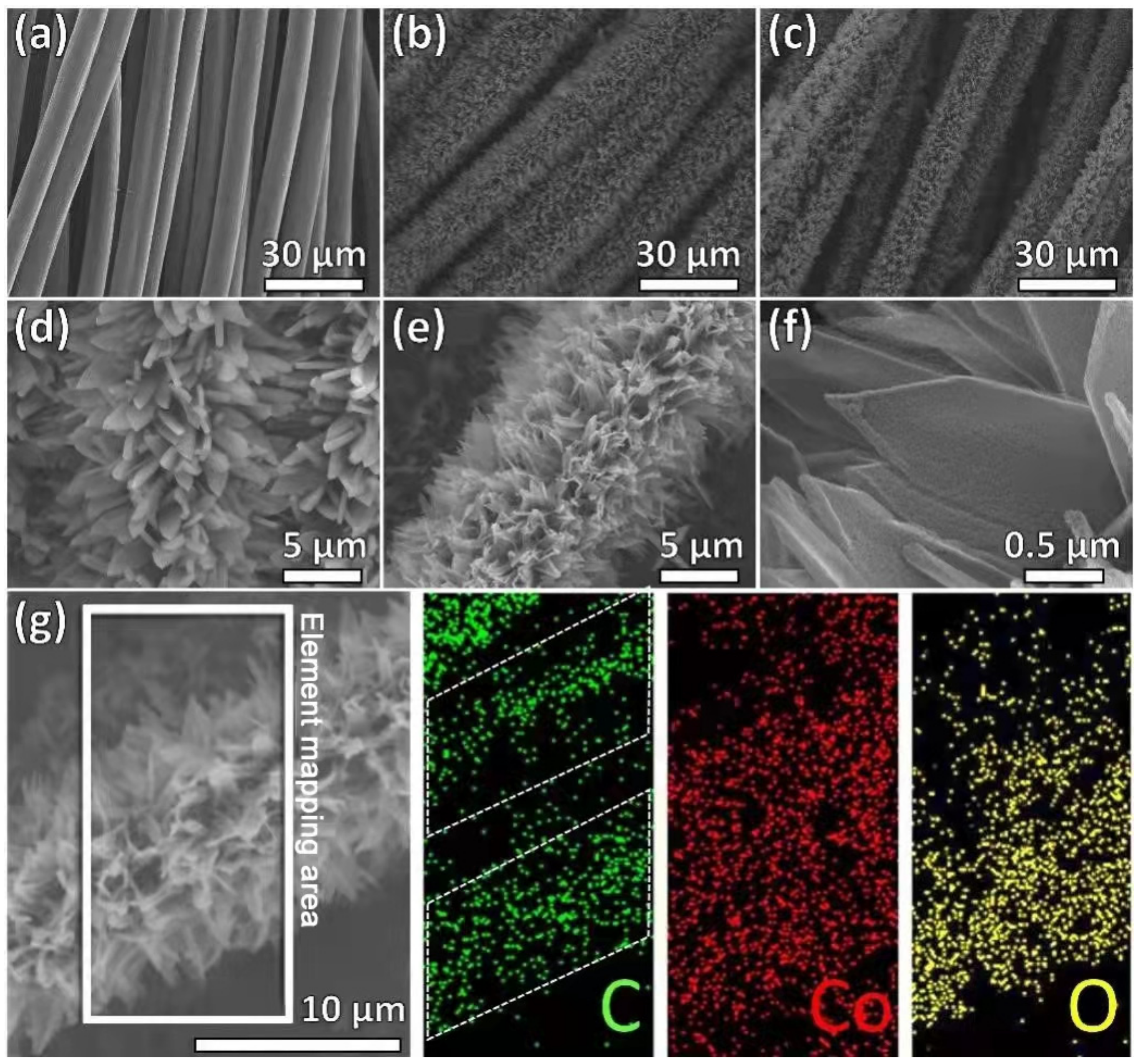Nanomaterials 12 01571 g003