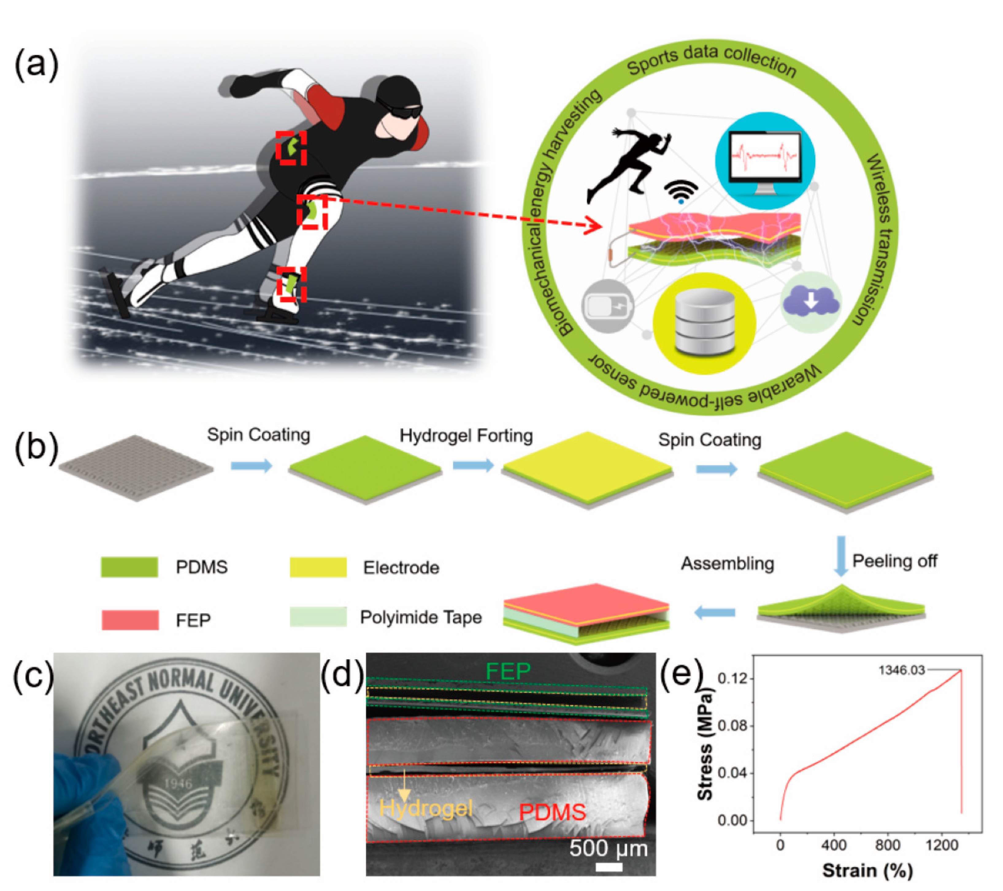 Nanomaterials 12 01576 g001