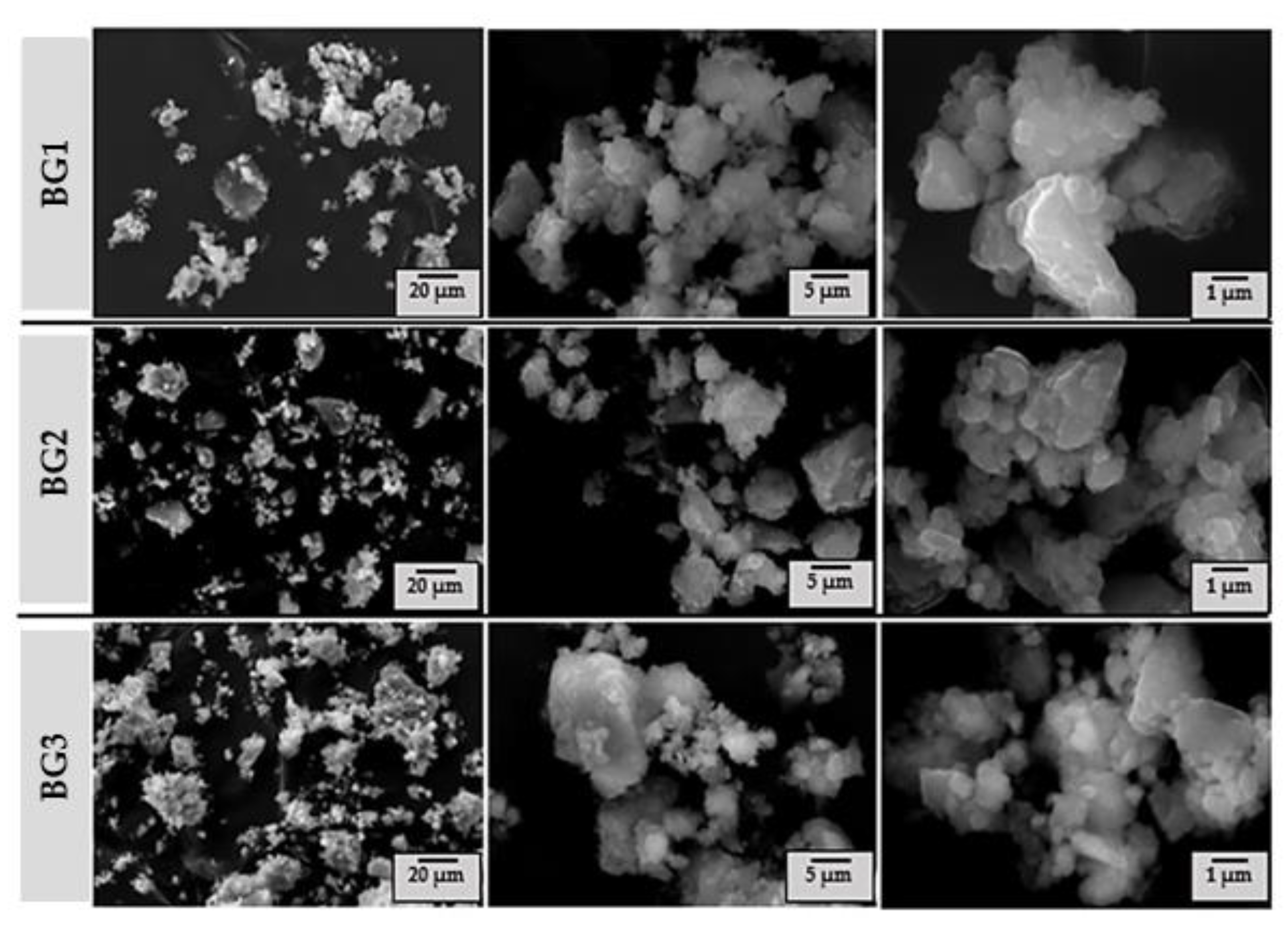 Nanomaterials 12 01577 g005