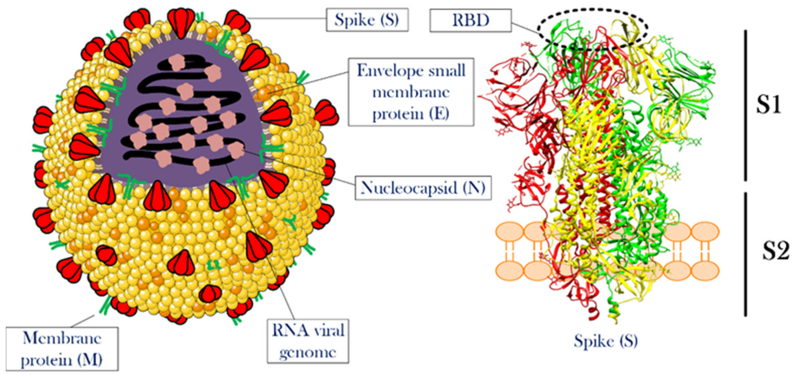 Nanomaterials 12 01602 g001 Nanomaterials 12 01602 g001