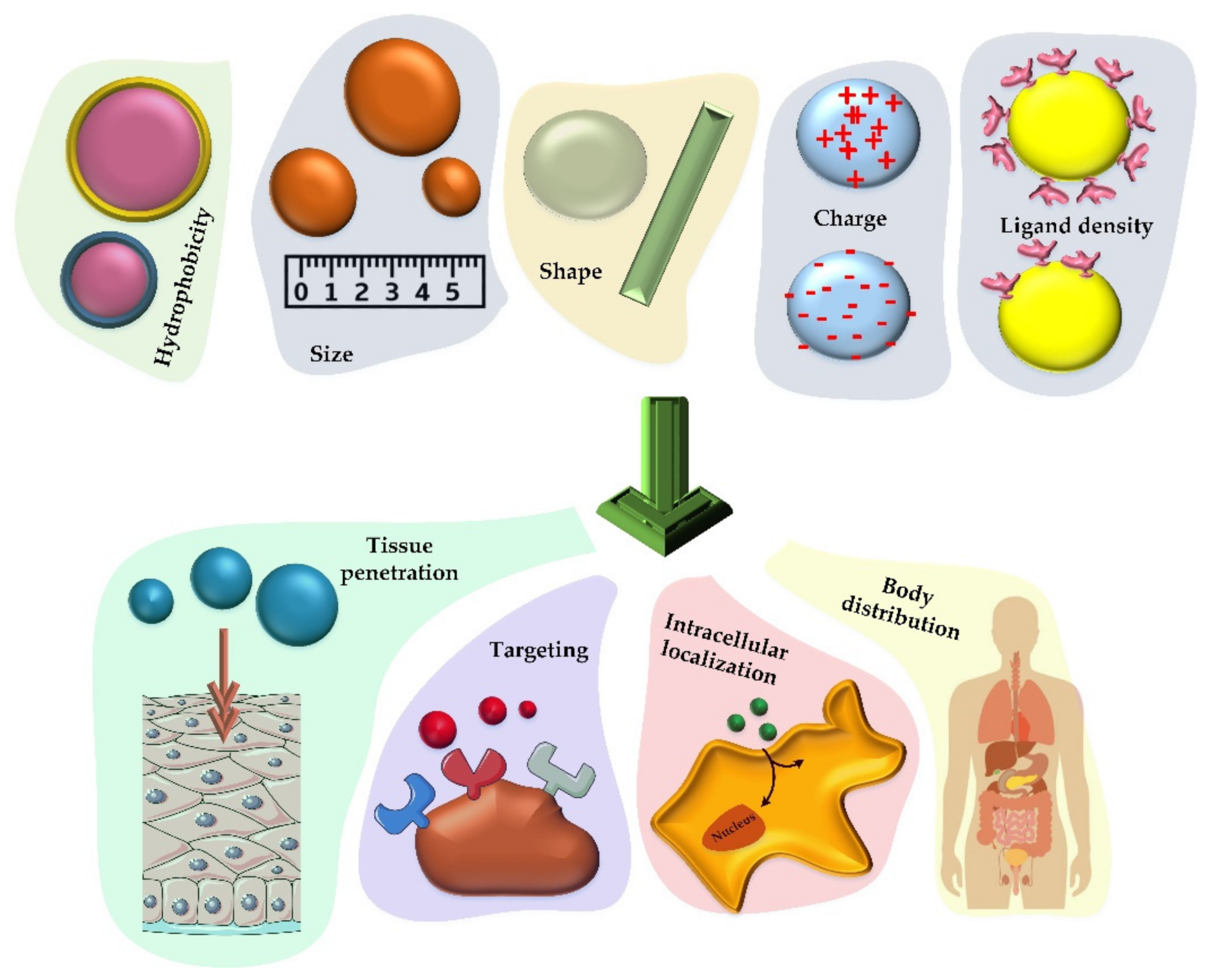 Nanomaterials 12 01602 g003 Nanomaterials 12 01602 g003