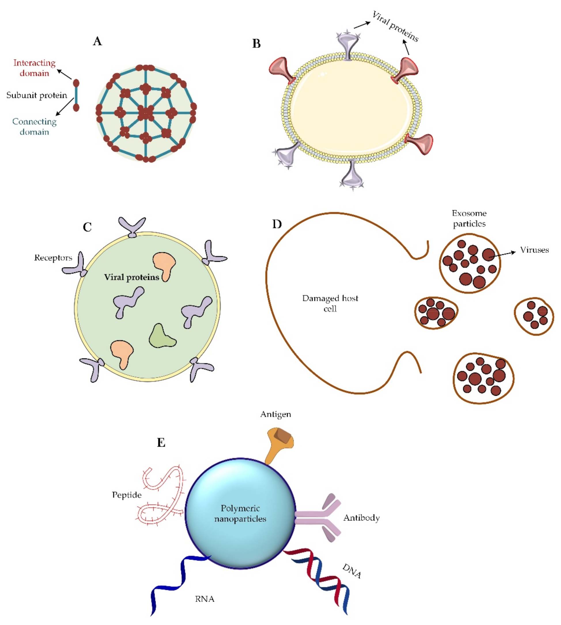 Nanomaterials 12 01602 g004 Nanomaterials 12 01602 g004