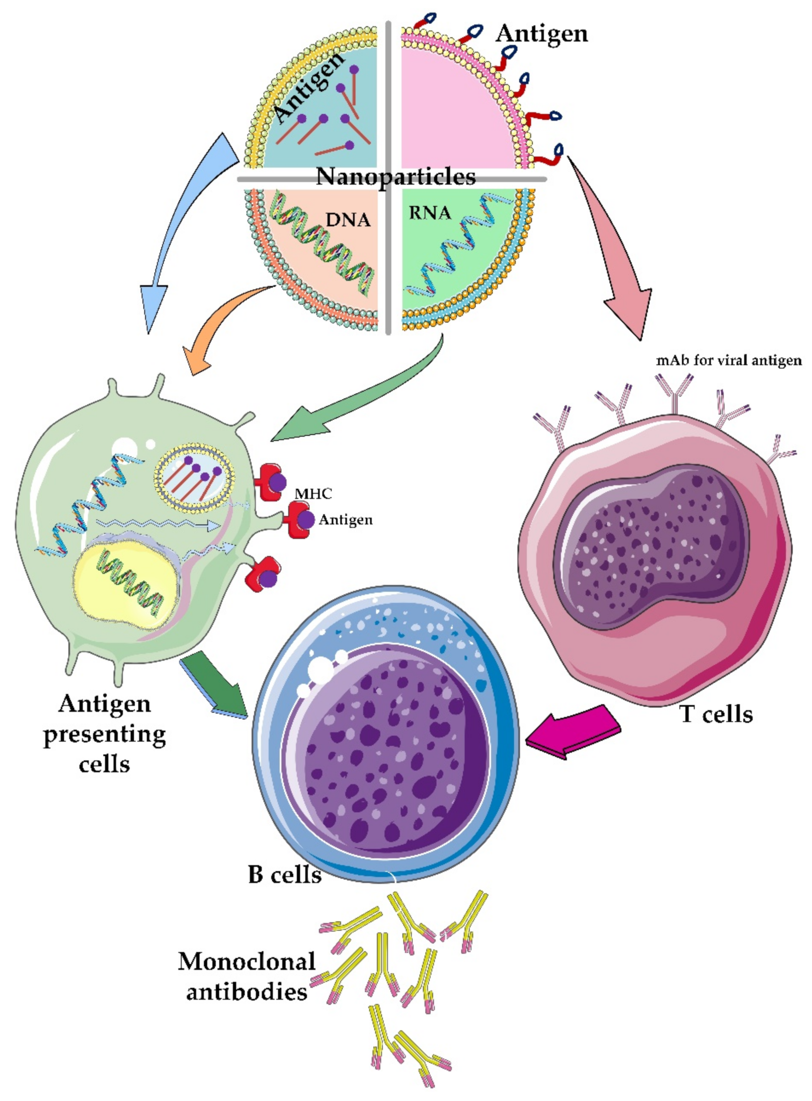 Nanomaterials 12 01602 g005 Nanomaterials 12 01602 g005