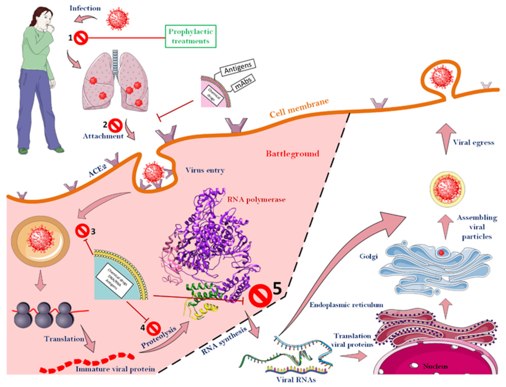 Nanomaterials 12 01602 g006 Nanomaterials 12 01602 g006