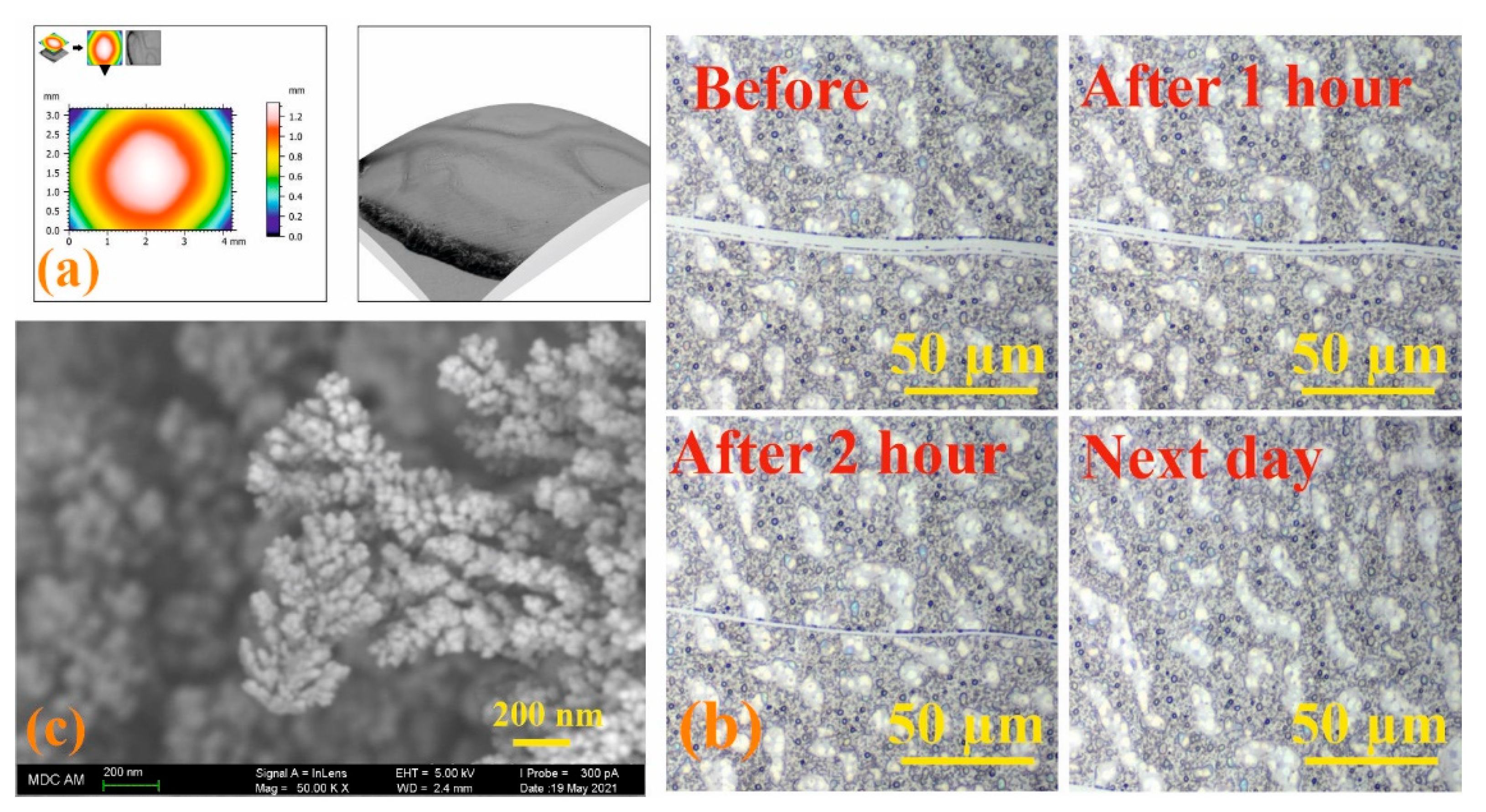 Nanomaterials 12 01604 g007