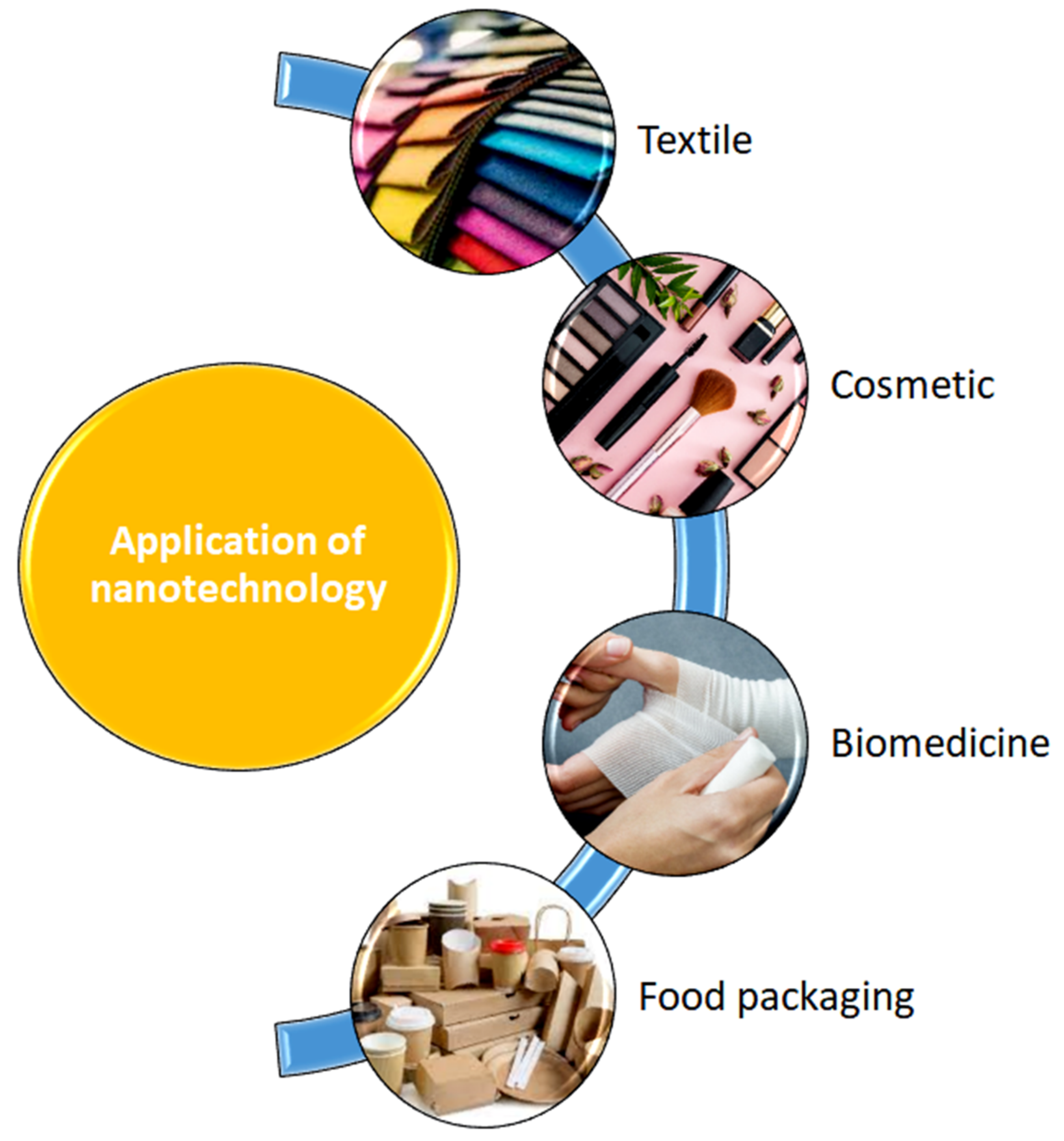 Nanomaterials 12 01629 g001