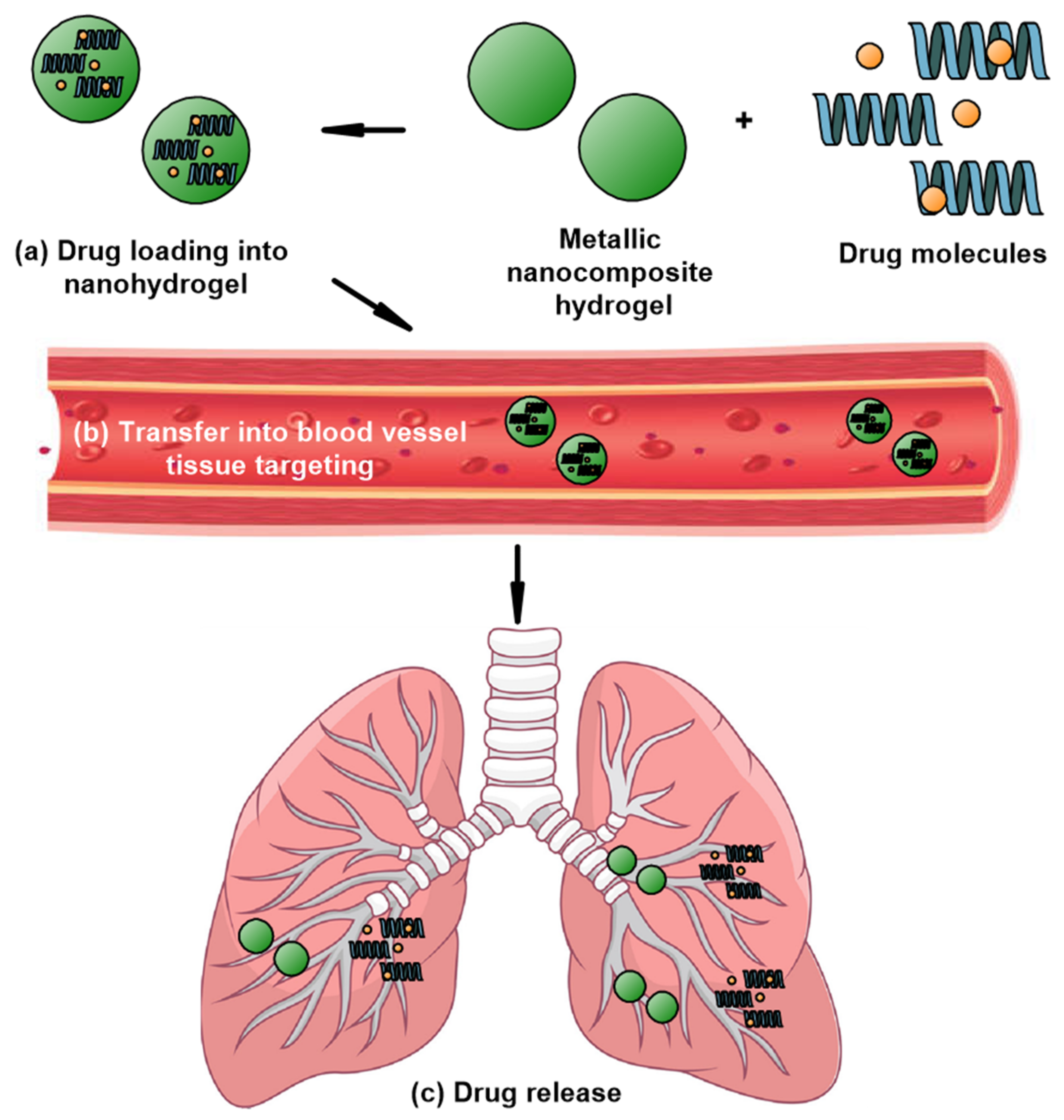 Nanomaterials 12 01629 g005