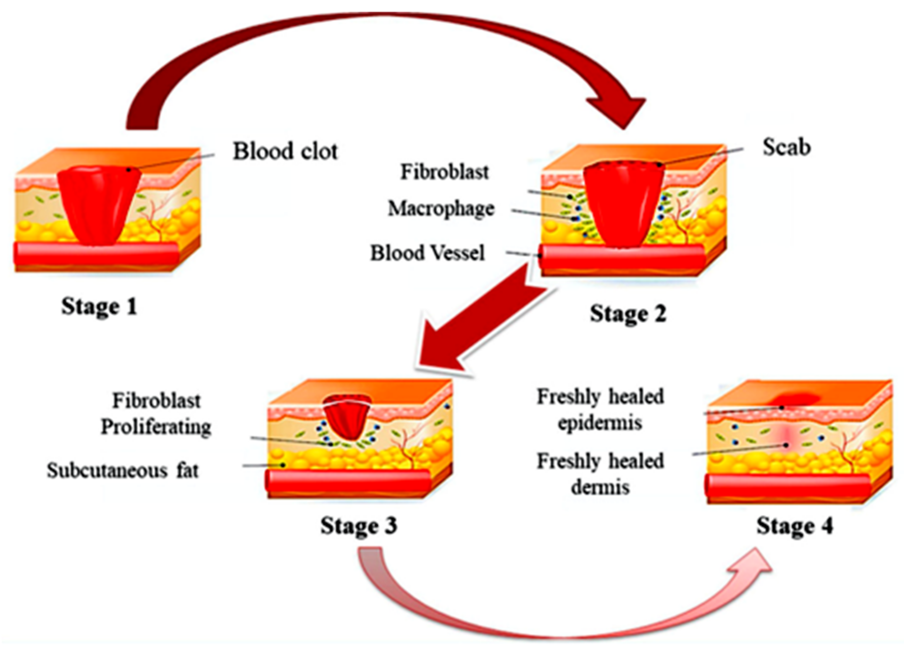 Nanomaterials 12 01629 g007