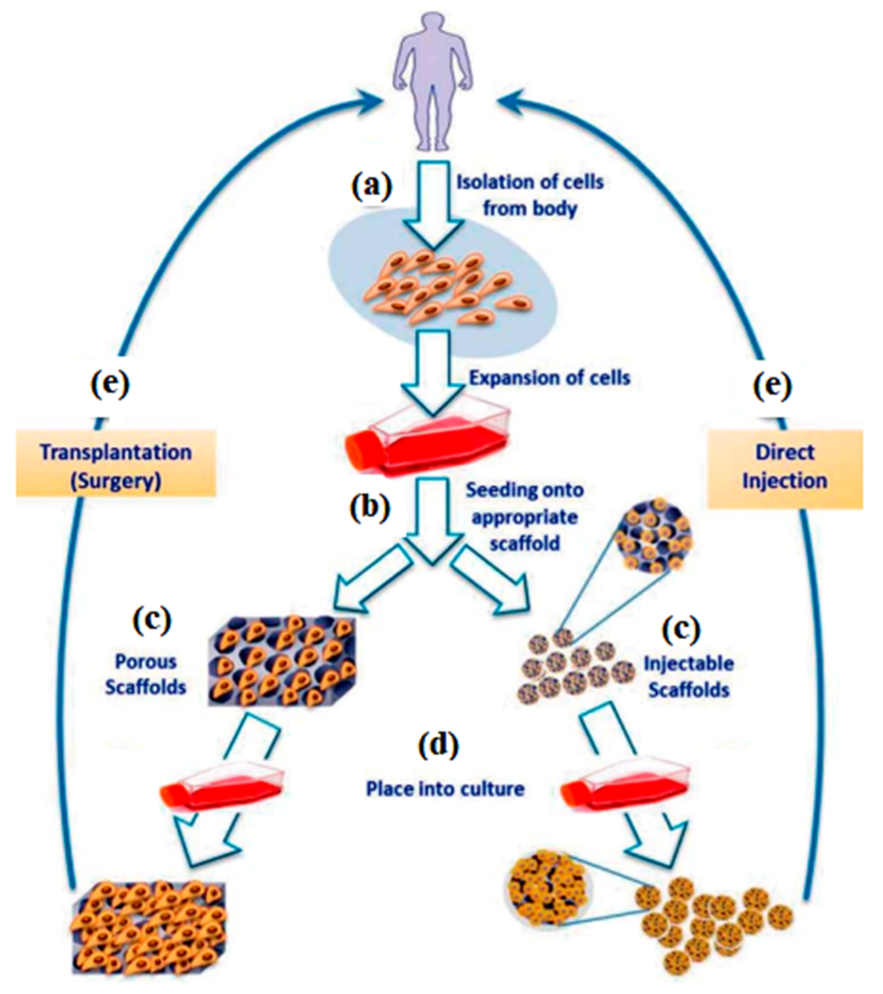 Nanomaterials 12 01629 g008