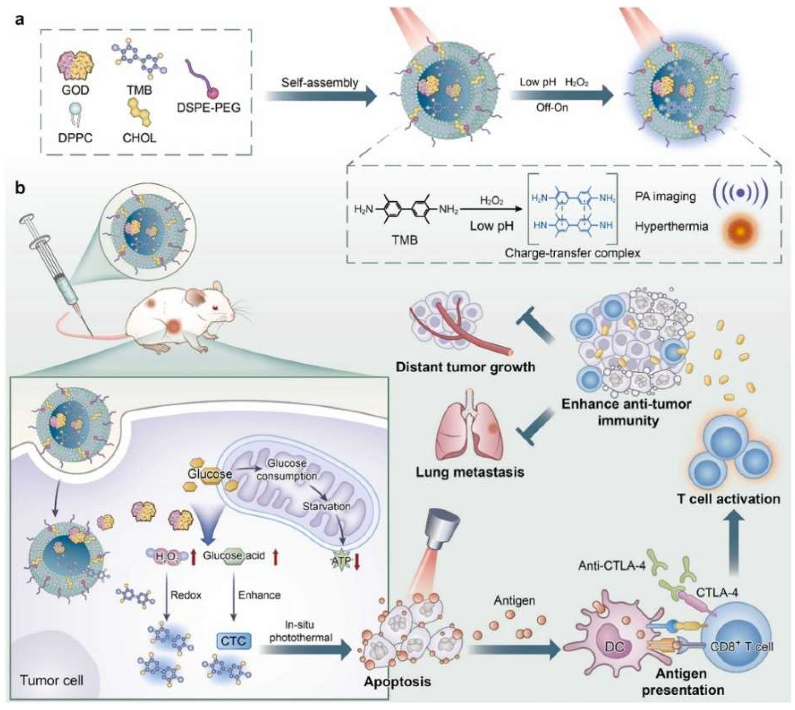 Nanomaterials 12 01656 g001