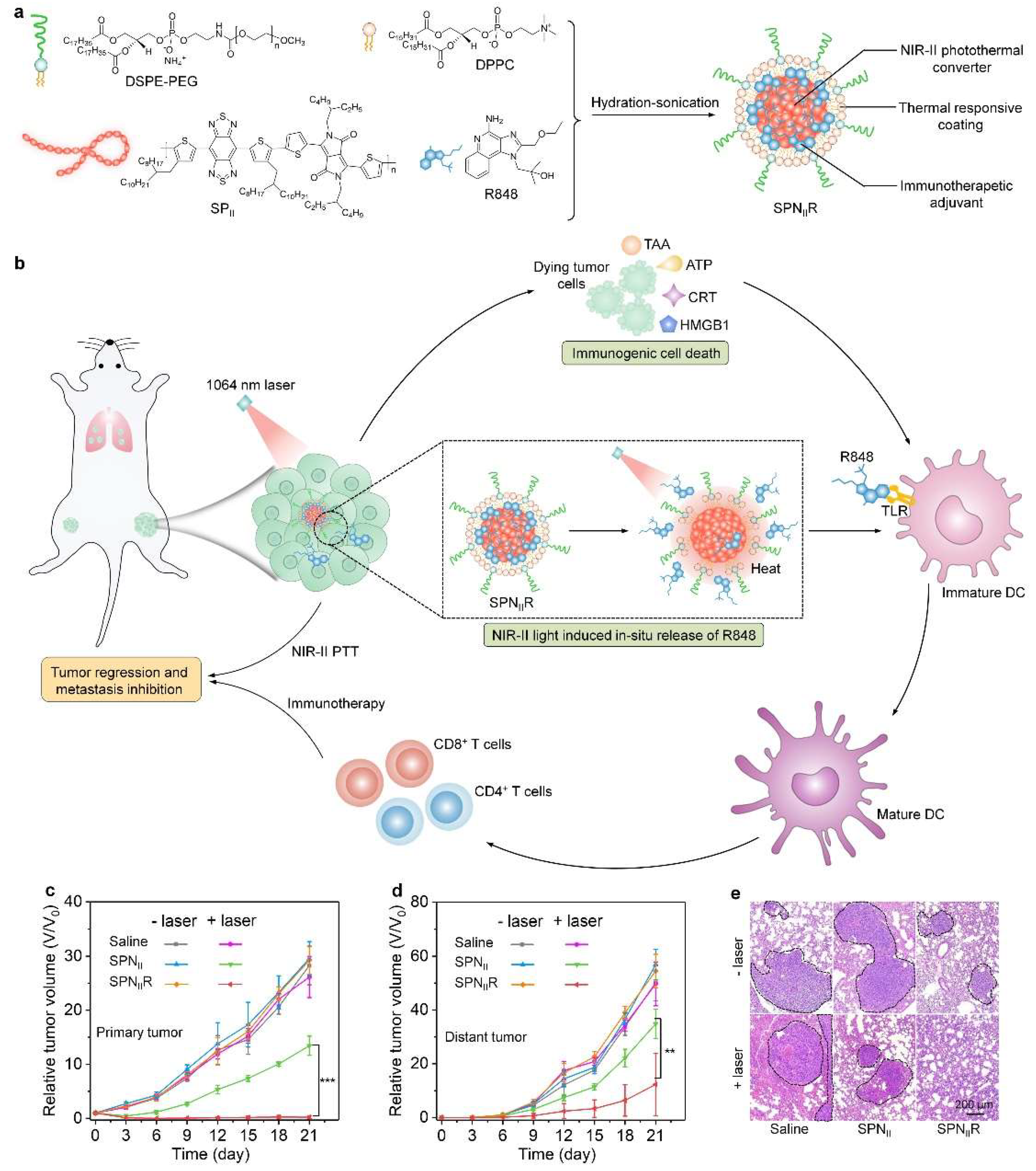 Nanomaterials 12 01656 g002