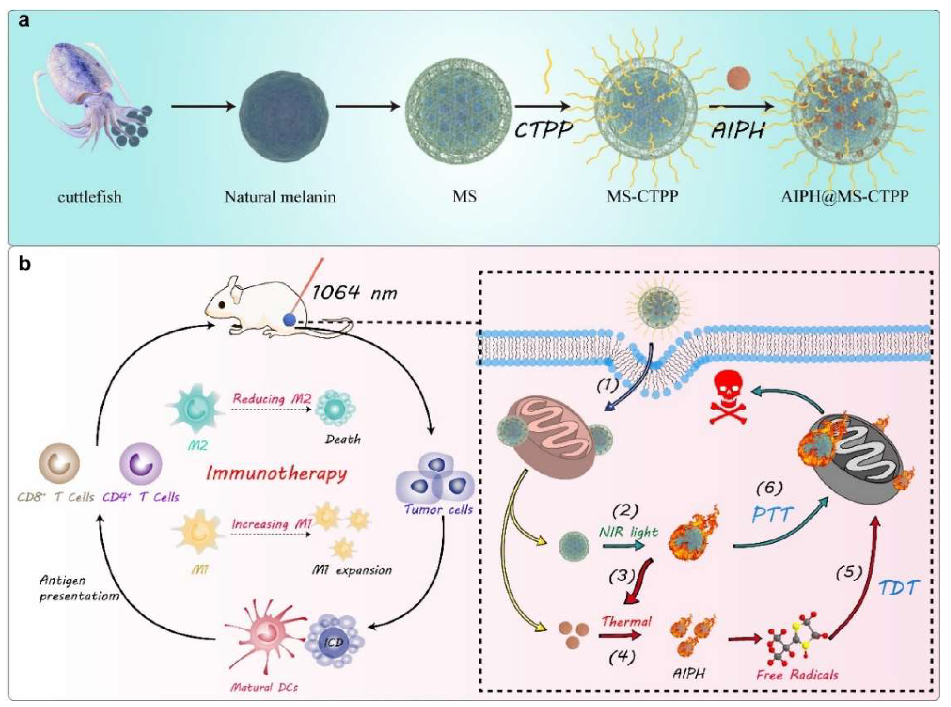 Nanomaterials 12 01656 g003
