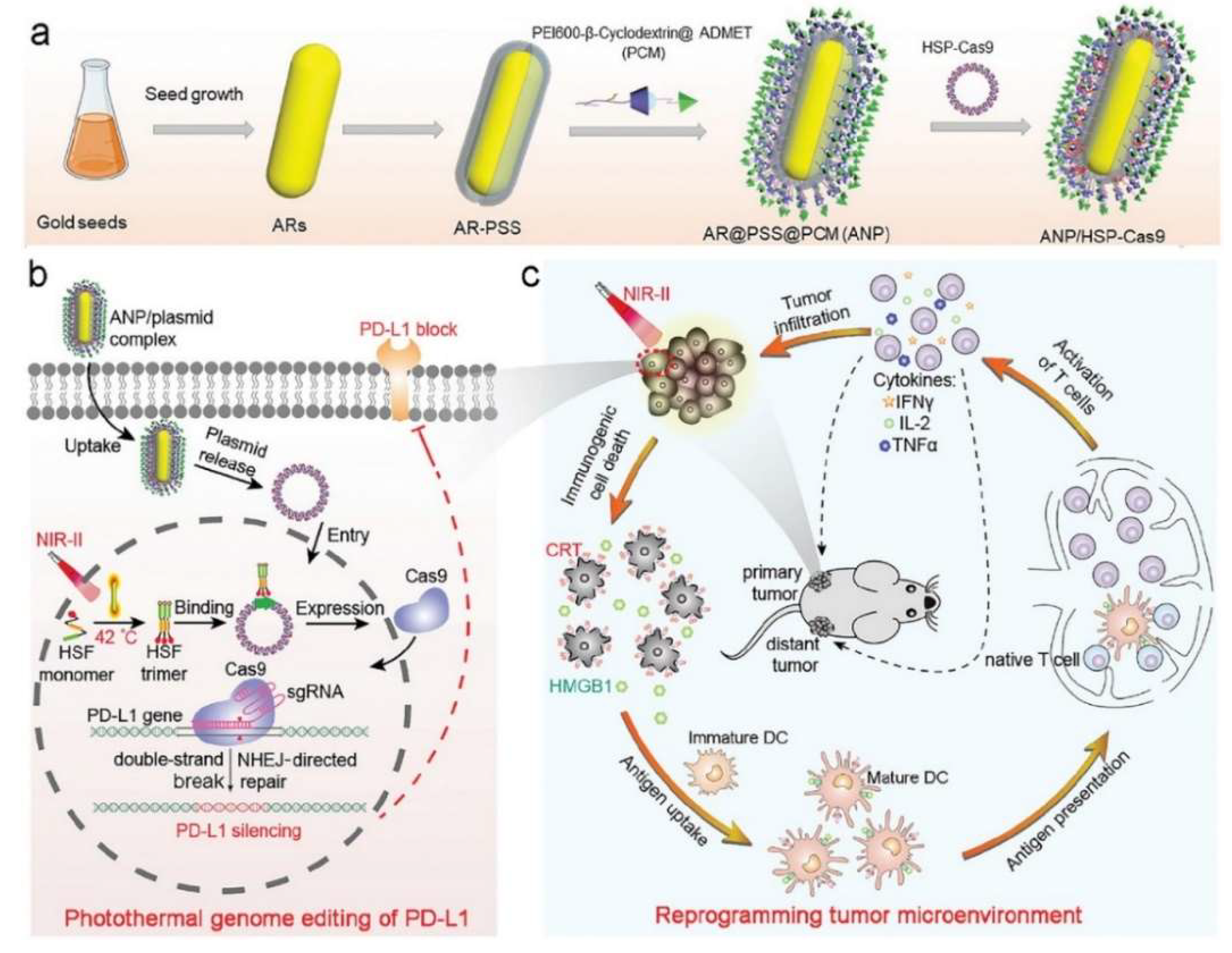 Nanomaterials 12 01656 g004