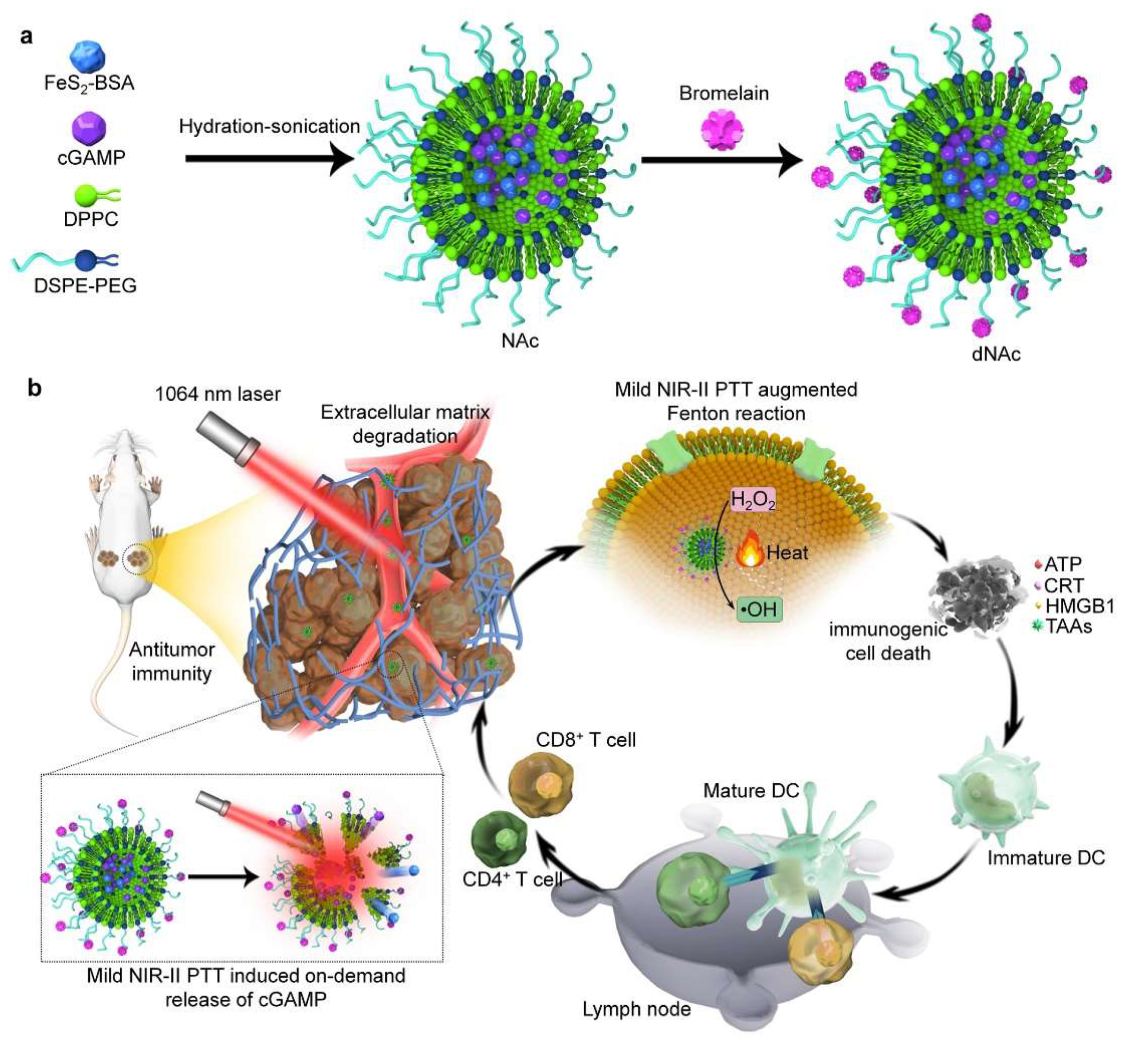 Nanomaterials 12 01656 g006
