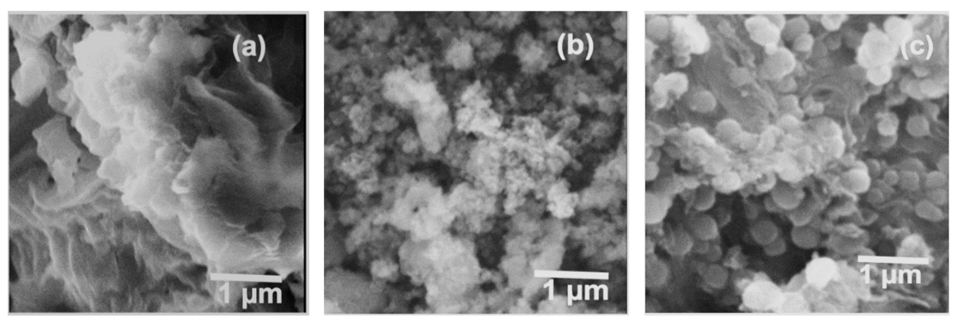 Nanomaterials 12 01659 g004