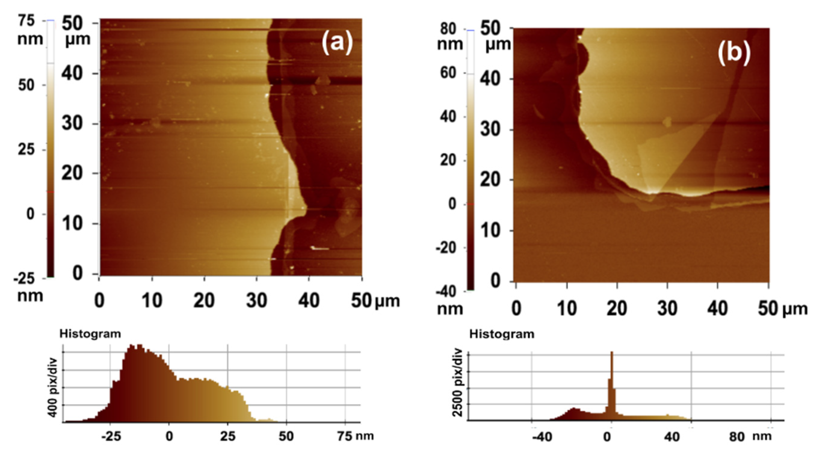 Nanomaterials 12 01659 g005