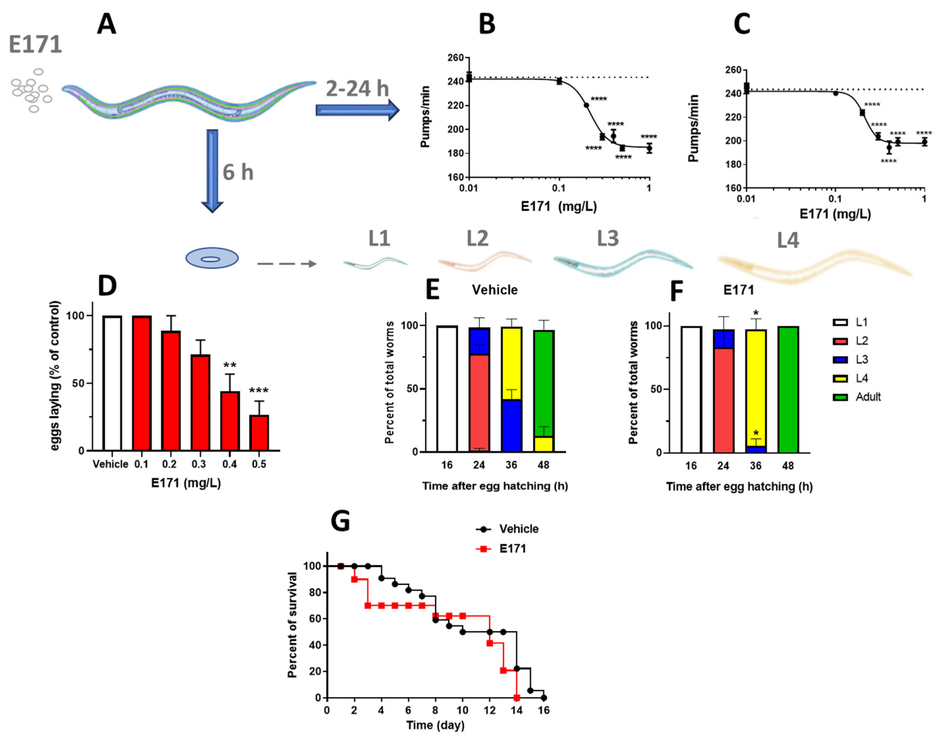 Nanomaterials 12 01669 g001