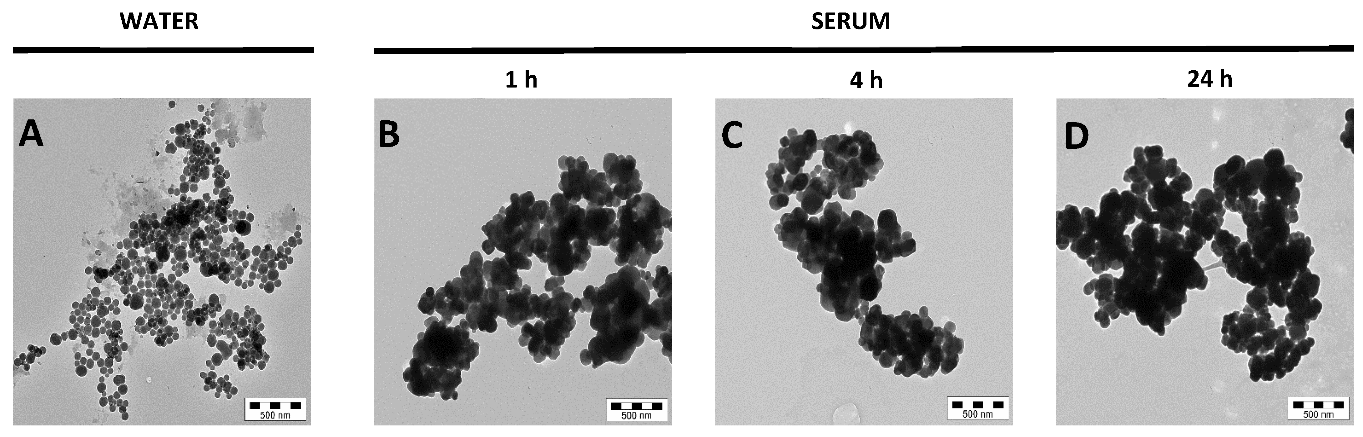 Nanomaterials 12 01669 g002
