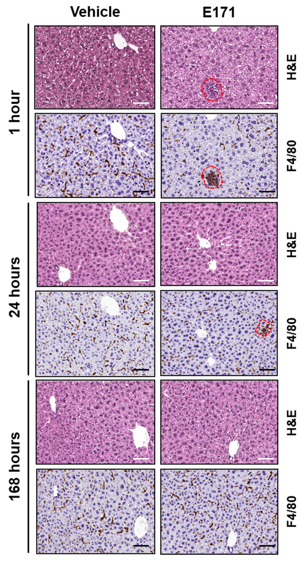Nanomaterials 12 01669 g006