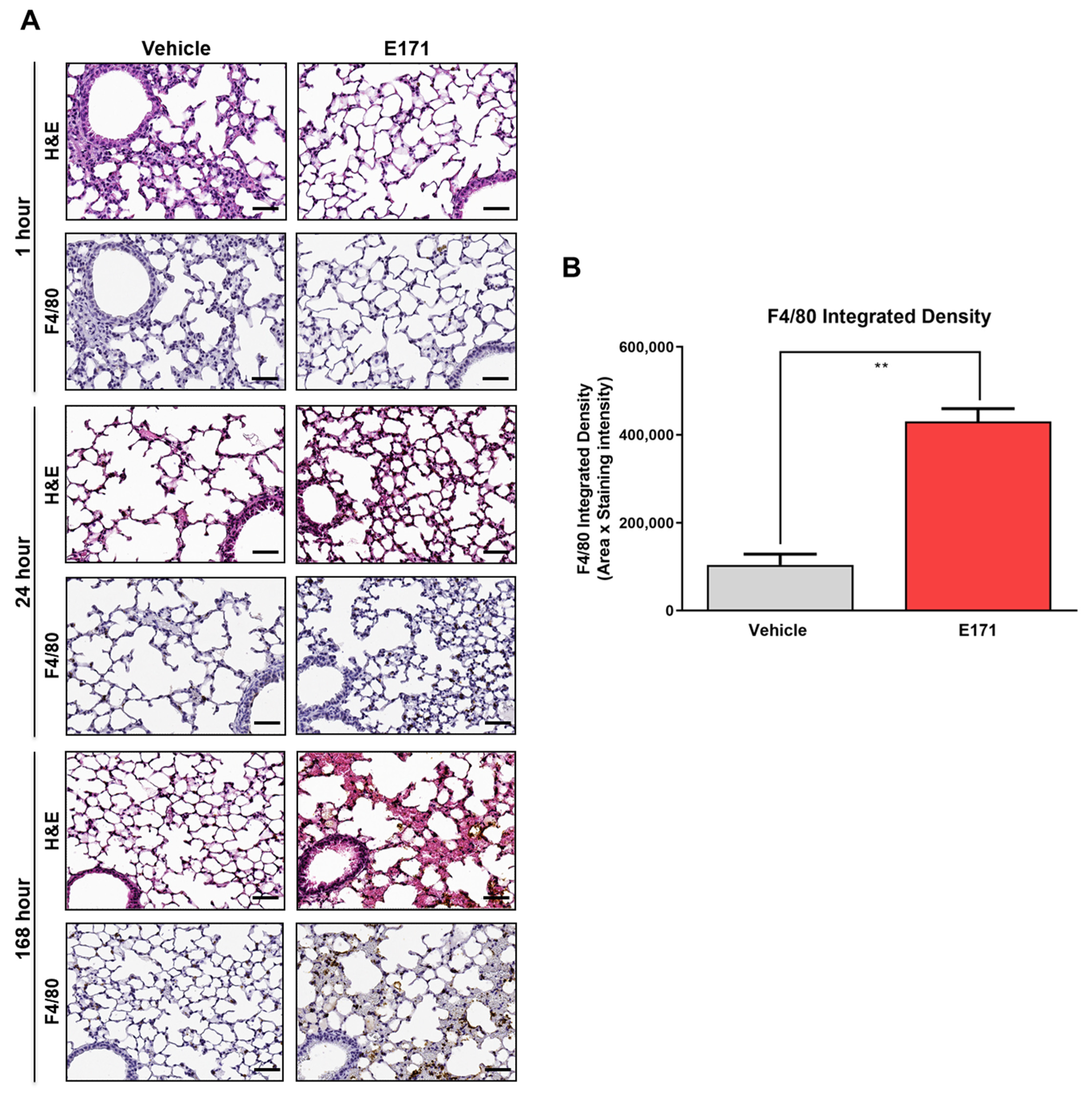 Nanomaterials 12 01669 g007