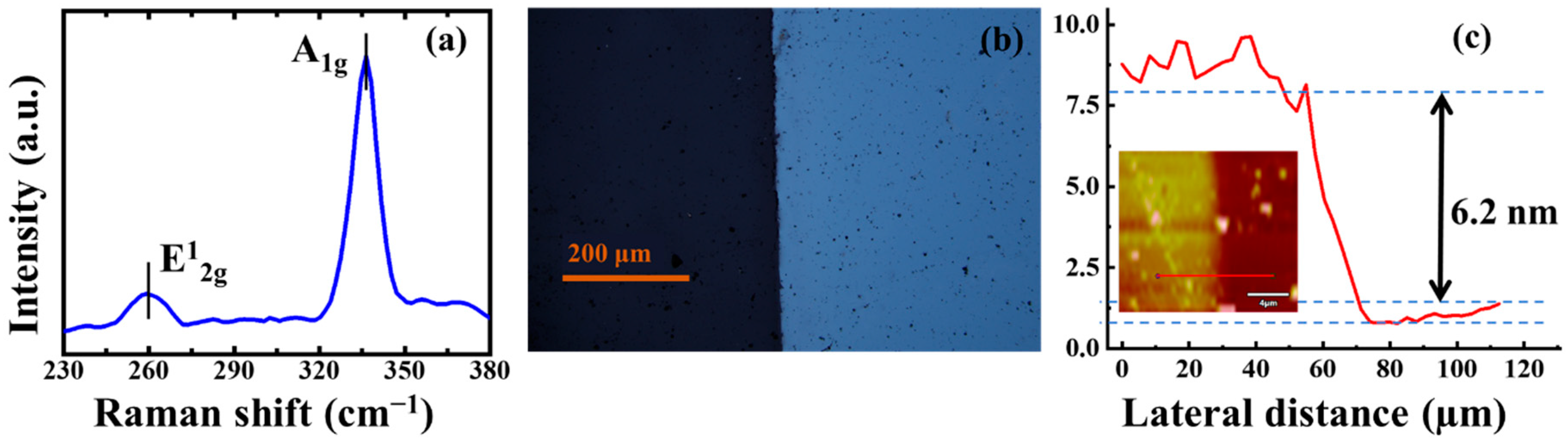 Nanomaterials 12 01670 g001