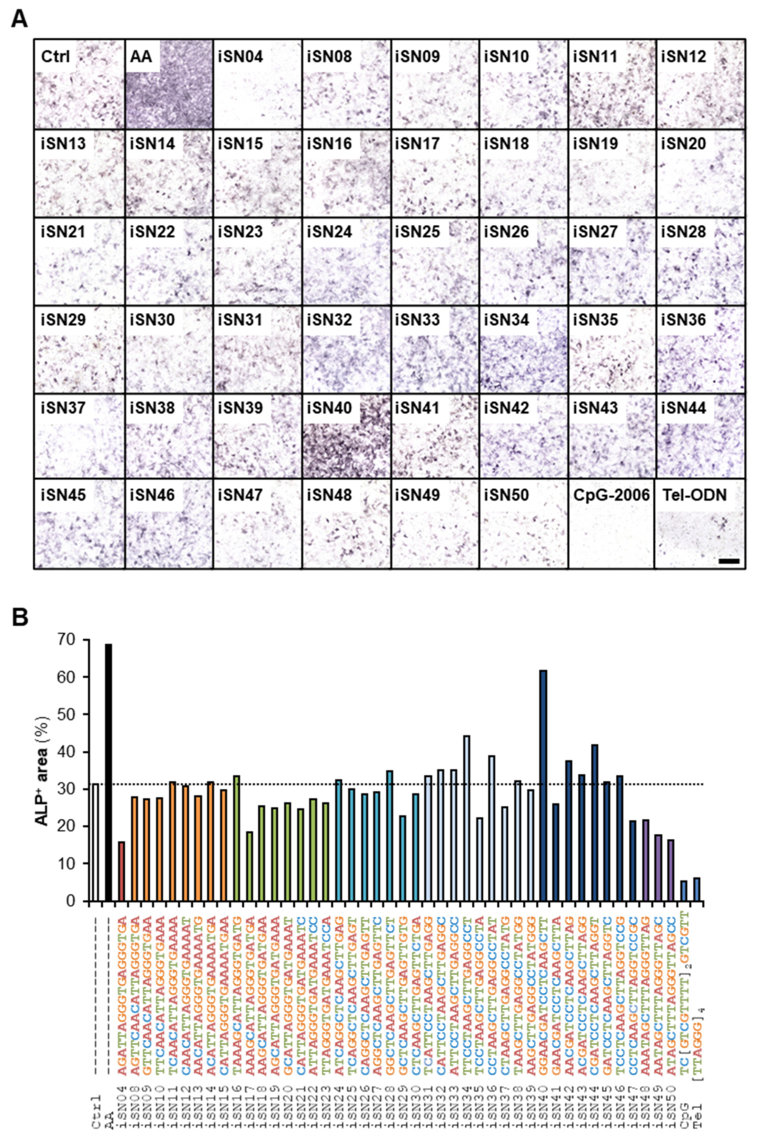 Nanomaterials 12 01680 g001