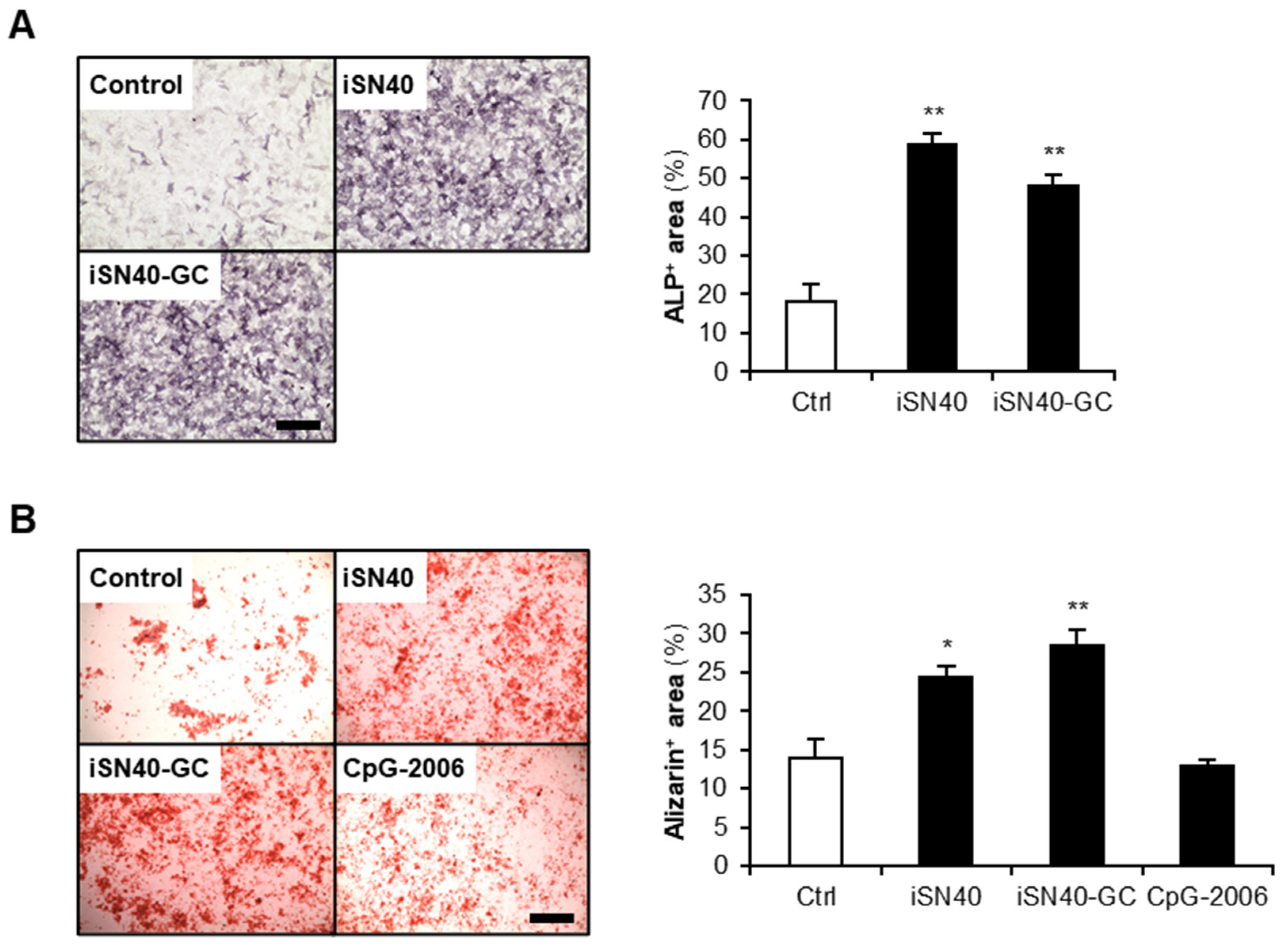 Nanomaterials 12 01680 g004