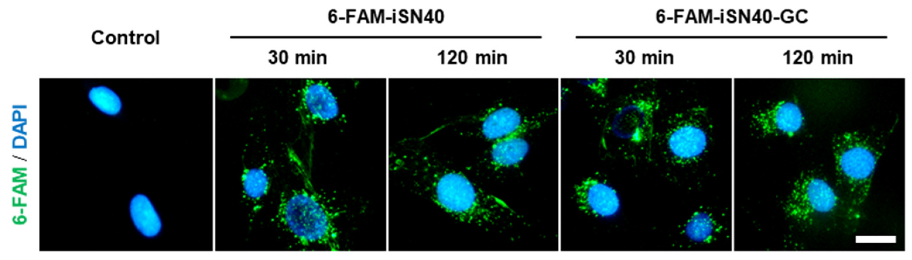 Nanomaterials 12 01680 g005