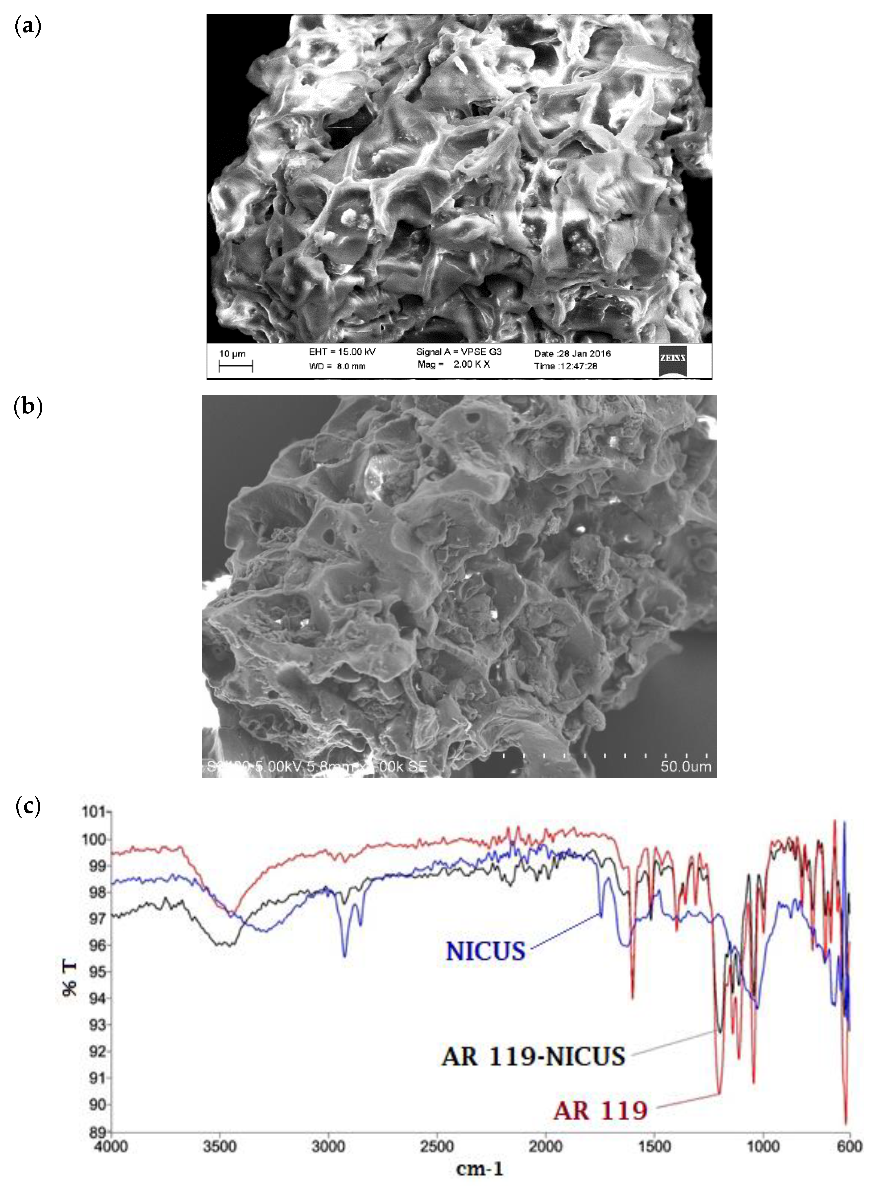 Nanomaterials 12 01684 g006