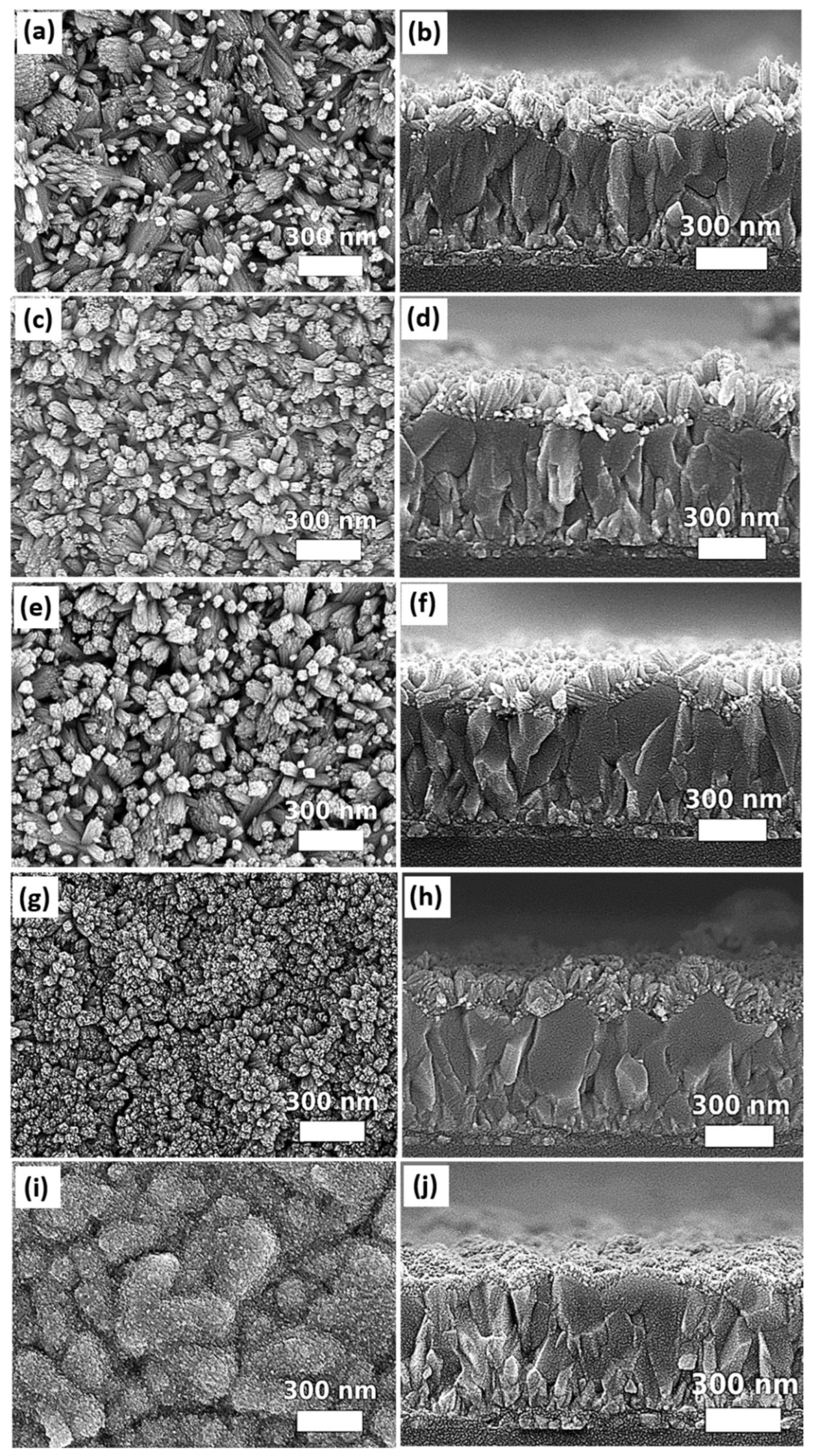 Nanomaterials 12 01686 g004
