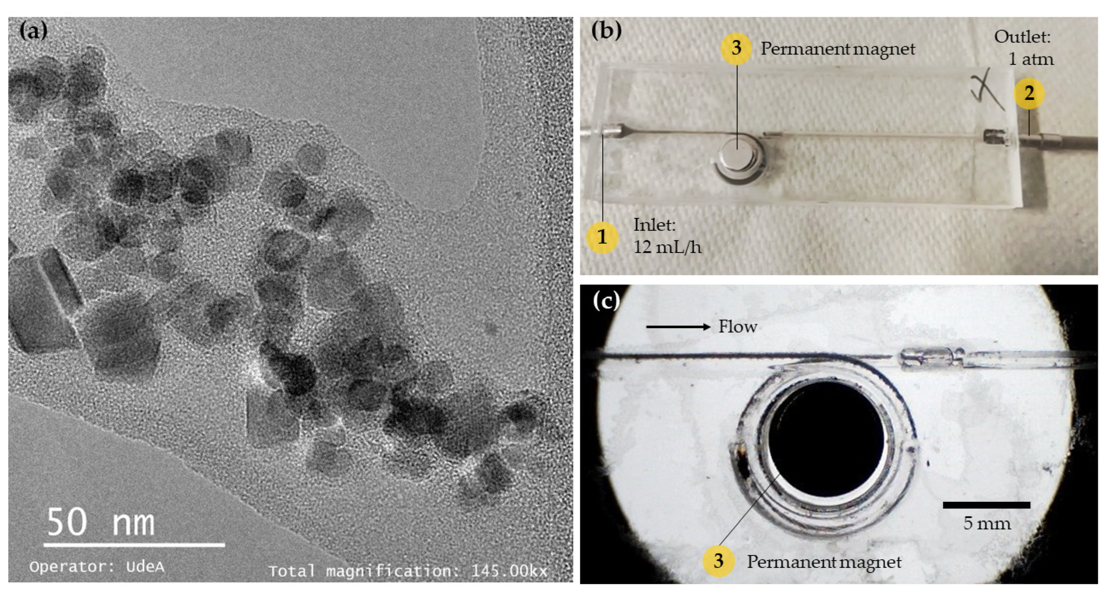 Nanomaterials 12 01688 g008