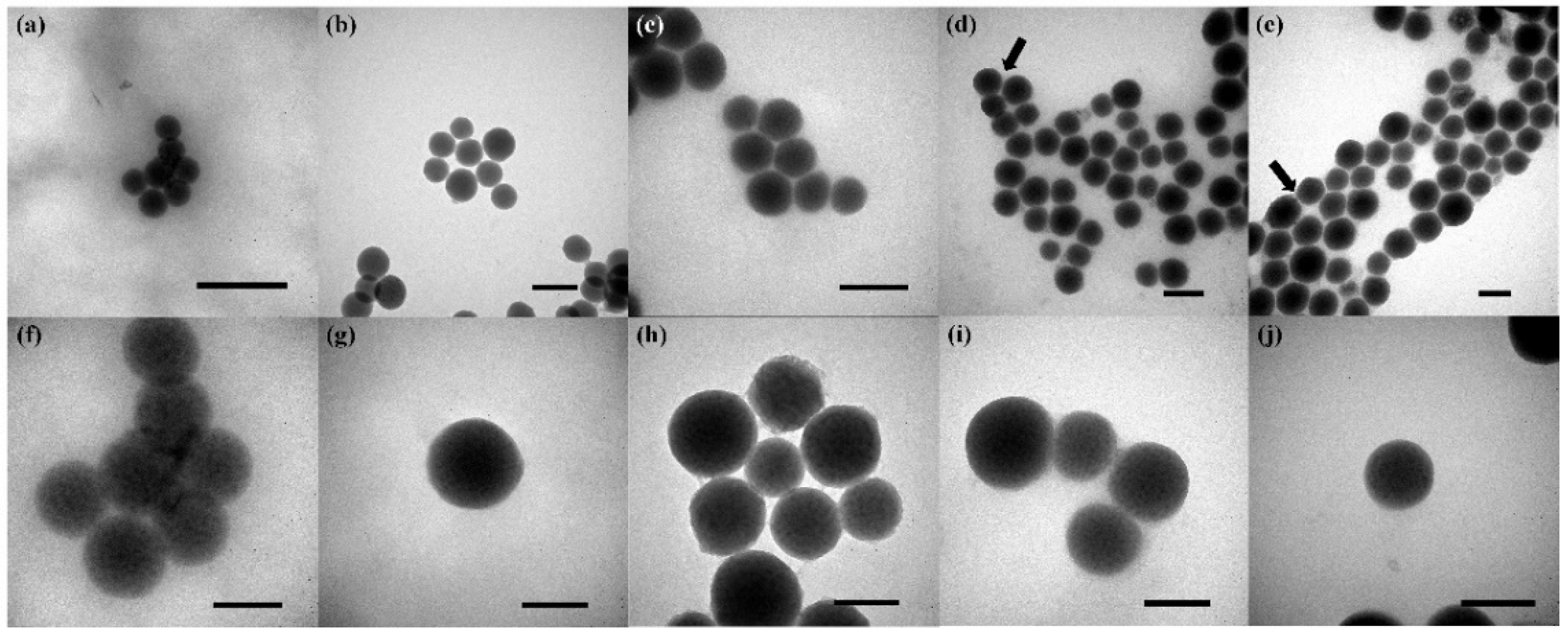 Nanomaterials 12 01691 g001