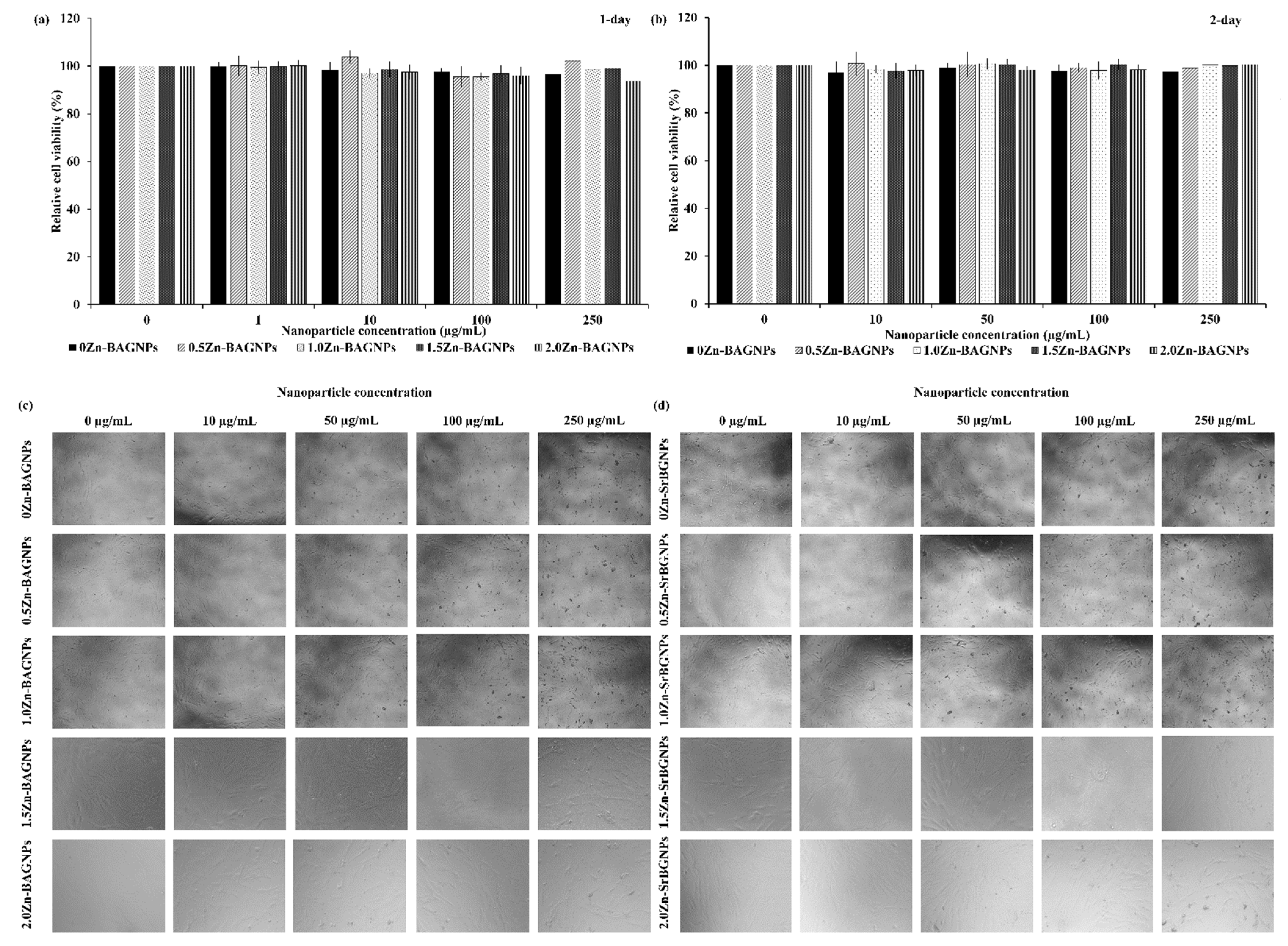 Nanomaterials 12 01691 g009