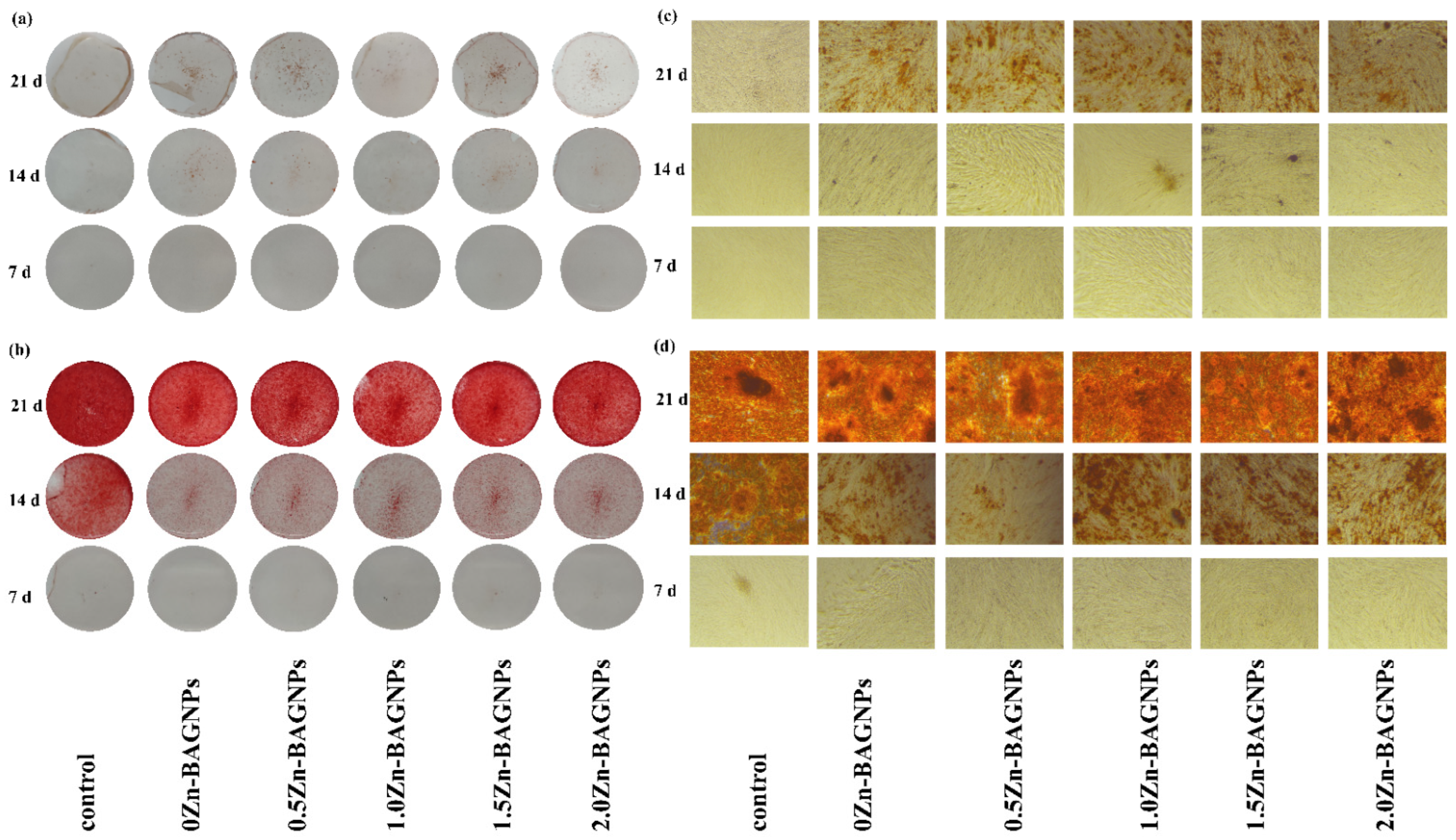 Nanomaterials 12 01691 g010
