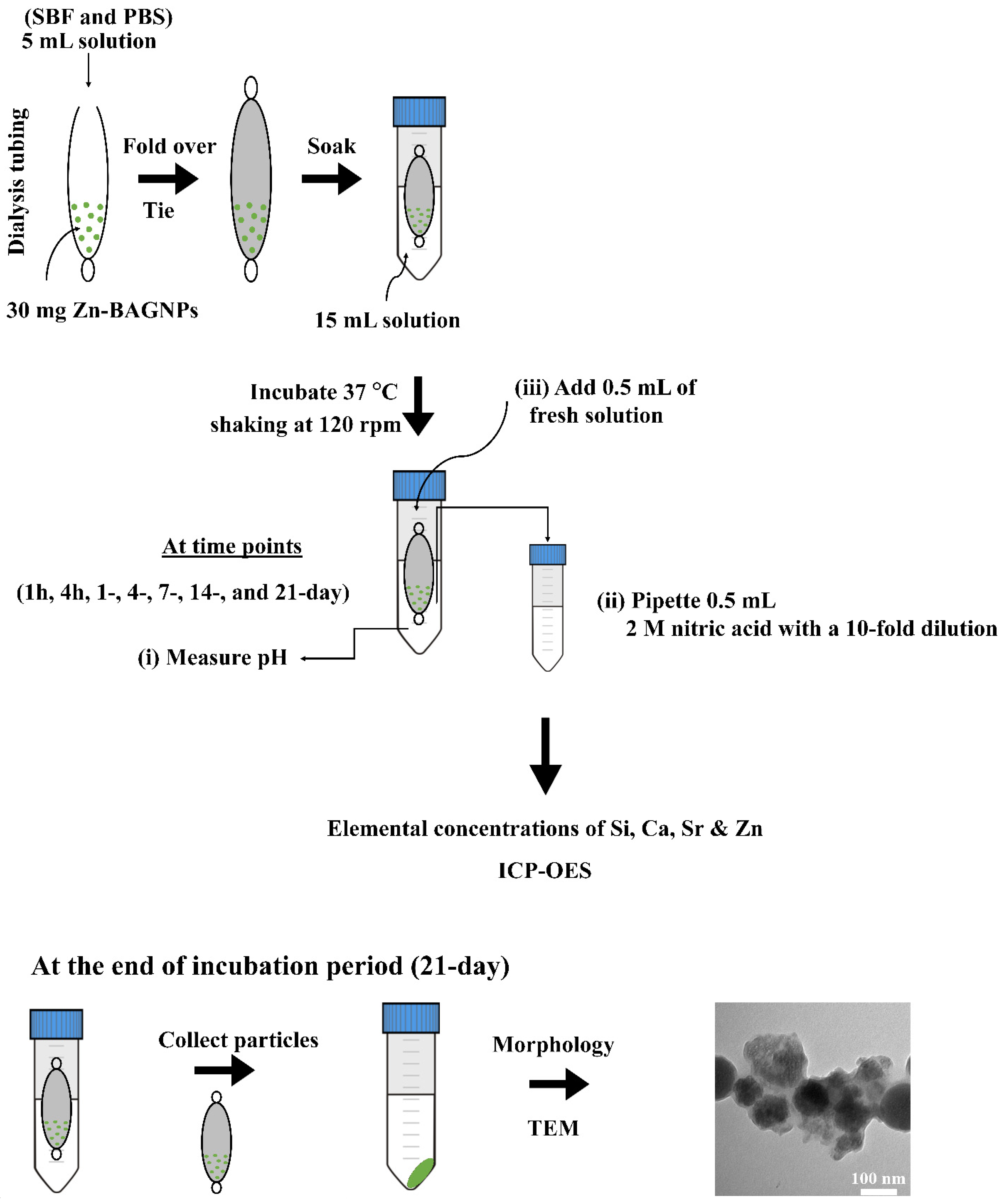 Nanomaterials 12 01691 sch003