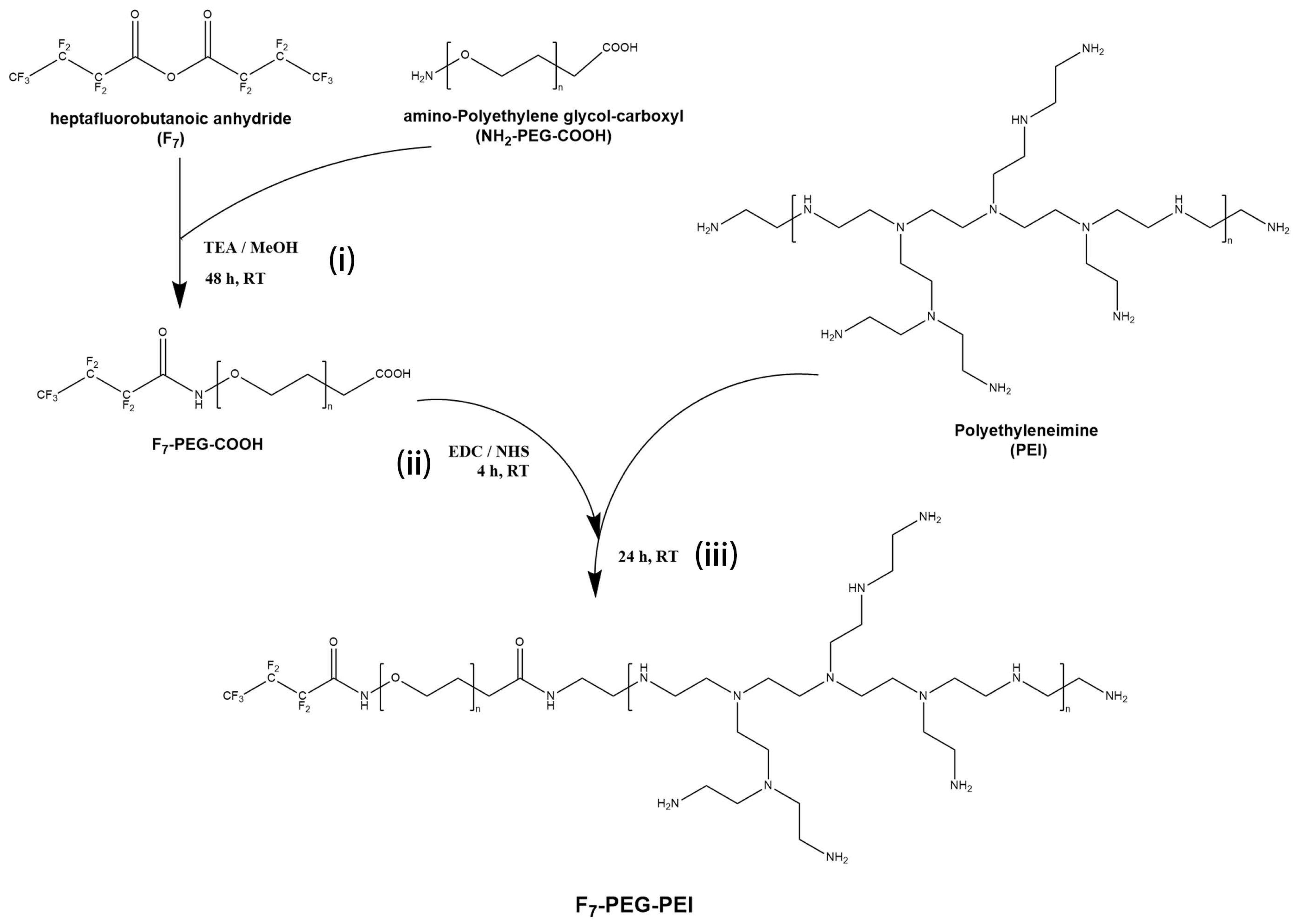 Nanomaterials 12 01692 g001